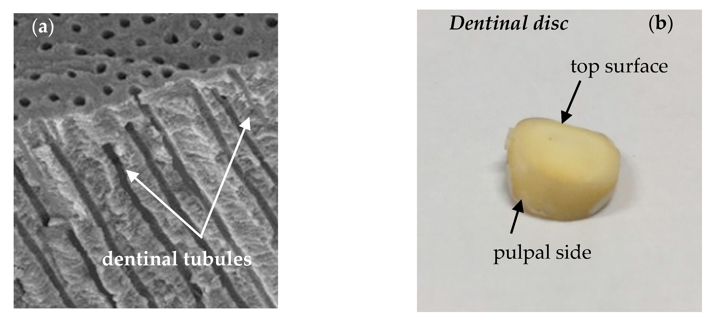 Fluids 03 00004 g001