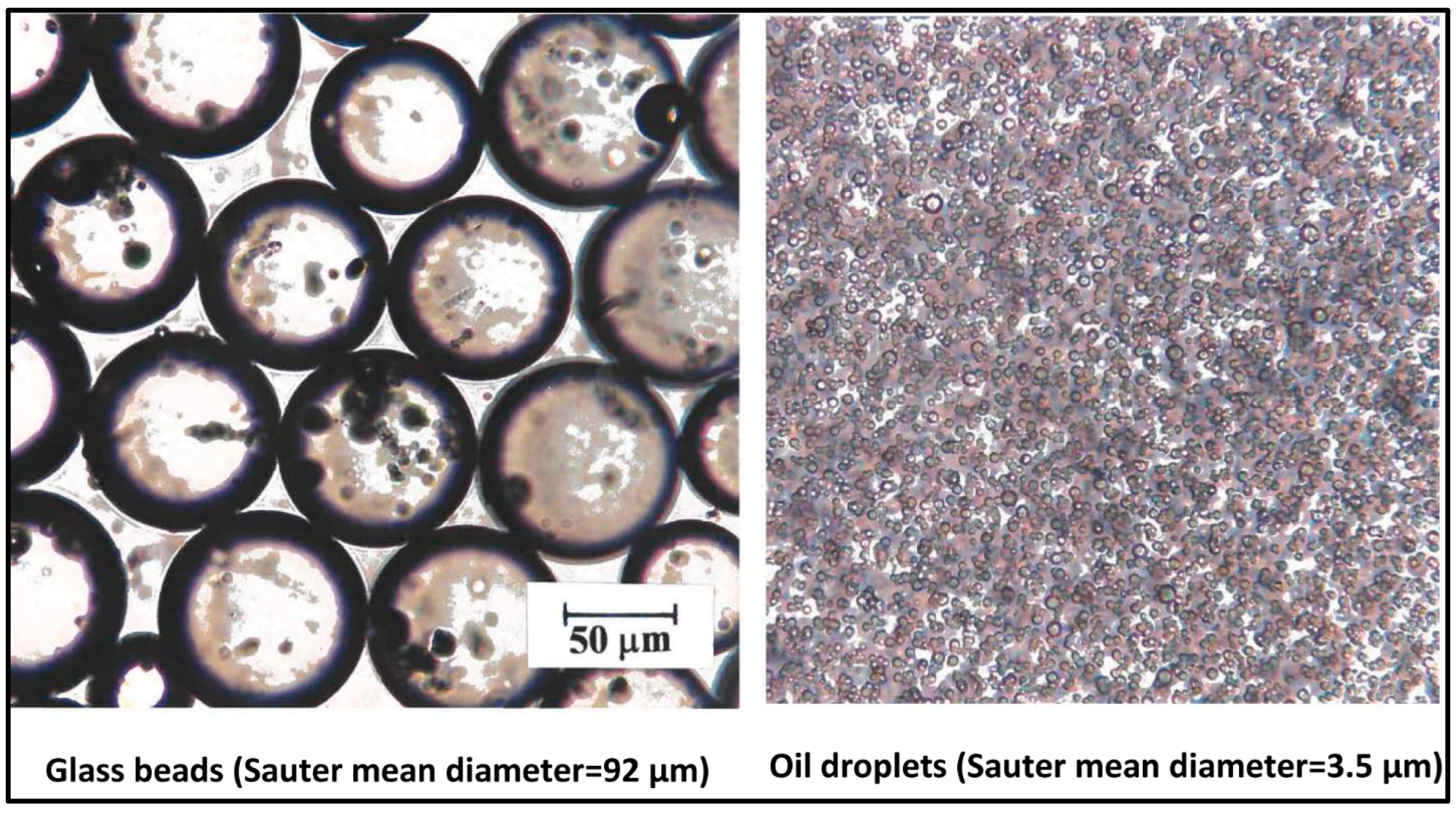 Fluids 03 00019 g002