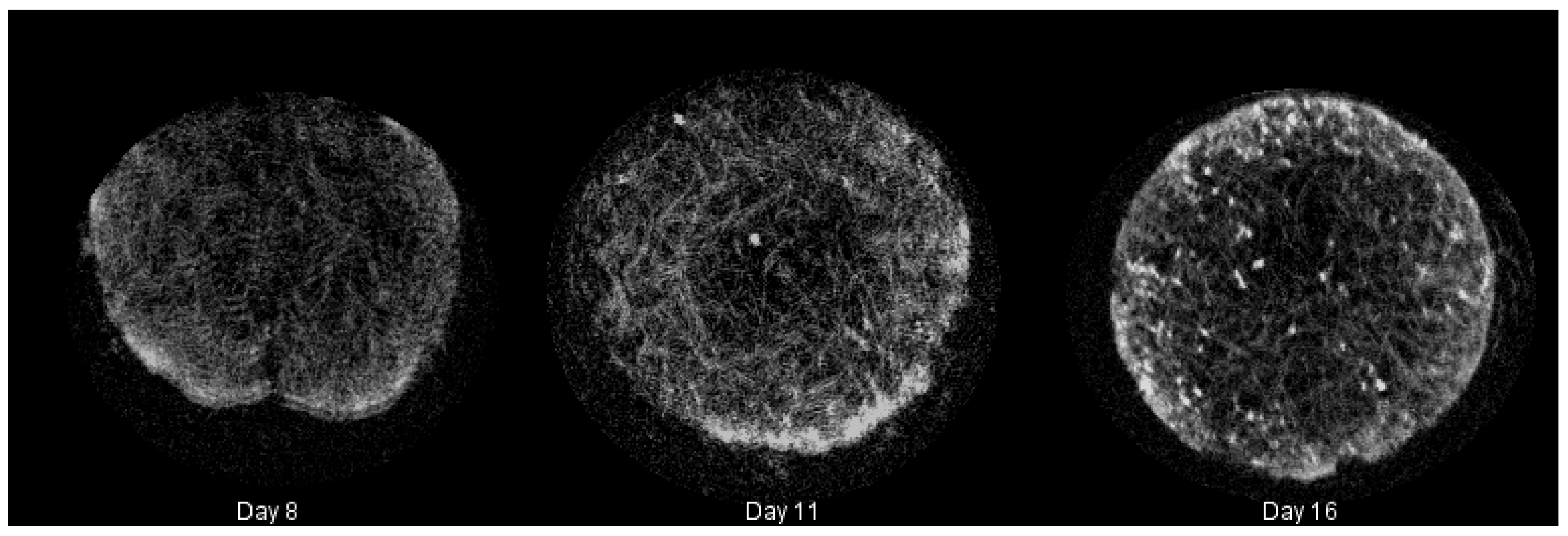 Fluids 03 00025 g003
