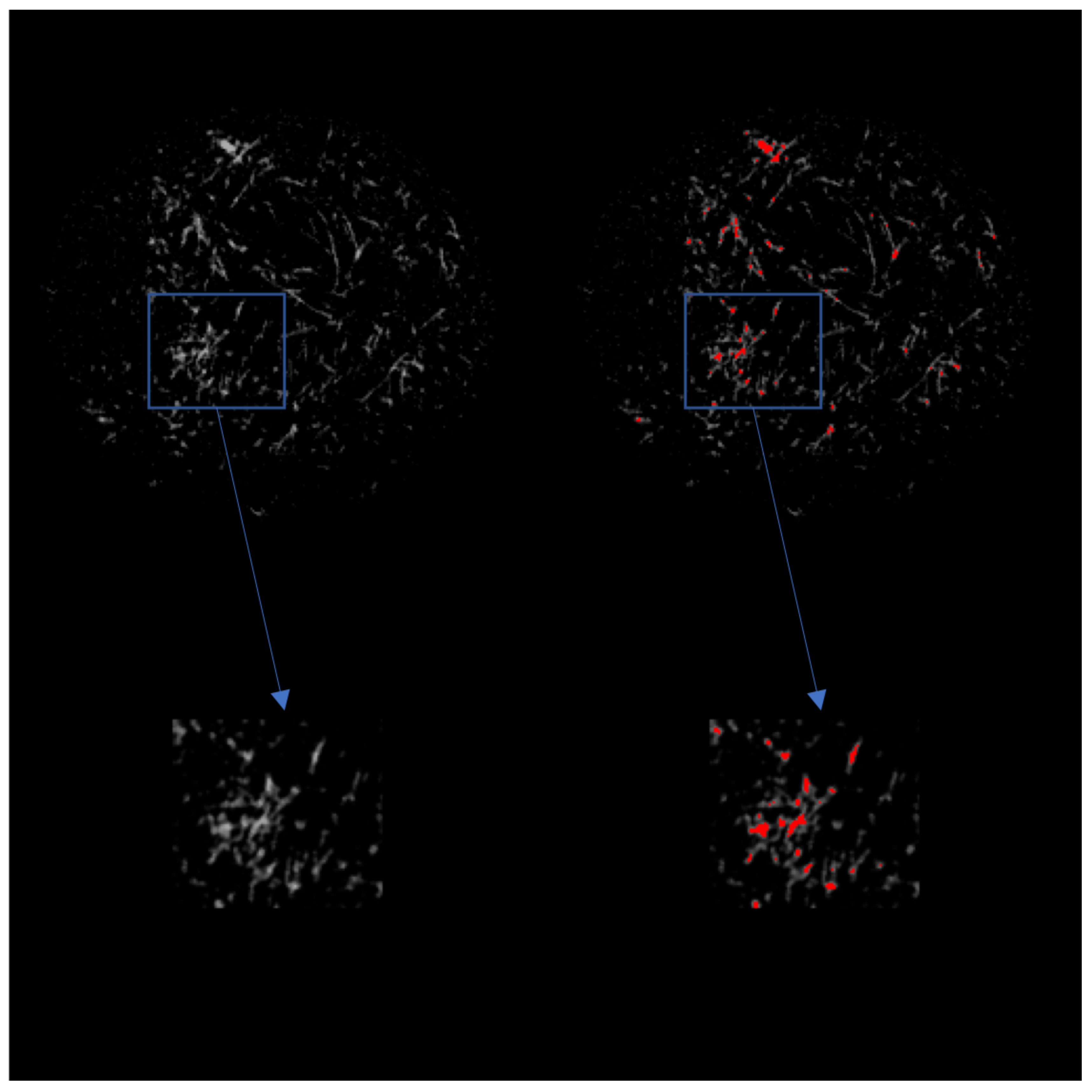 Fluids 03 00025 g004
