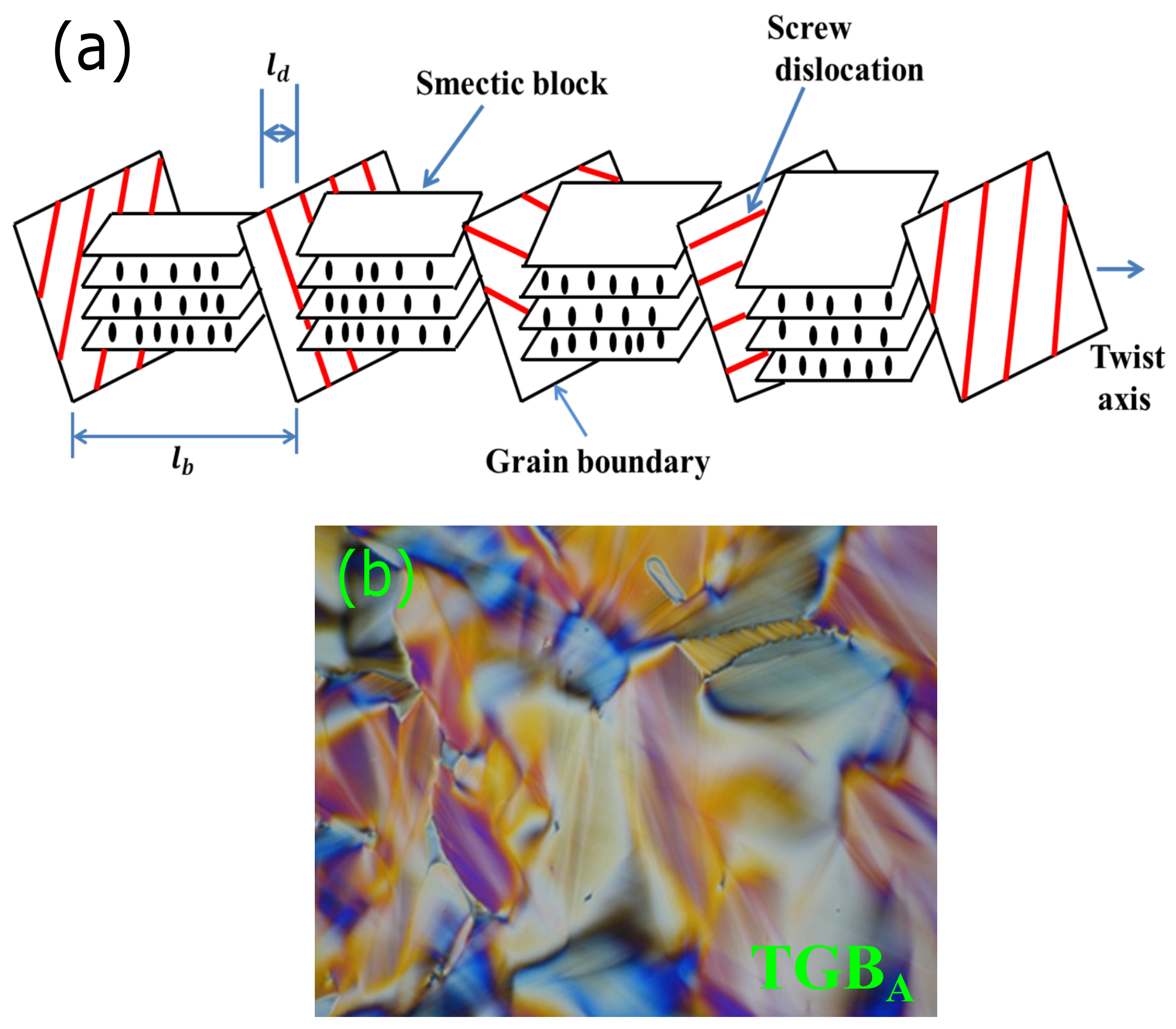 Fluids 03 00026 g003