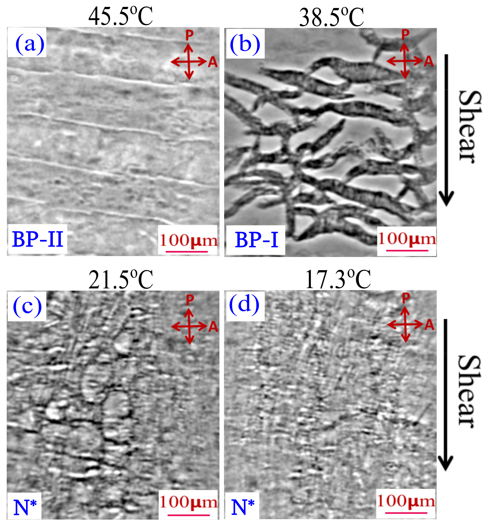 Fluids 03 00026 g013