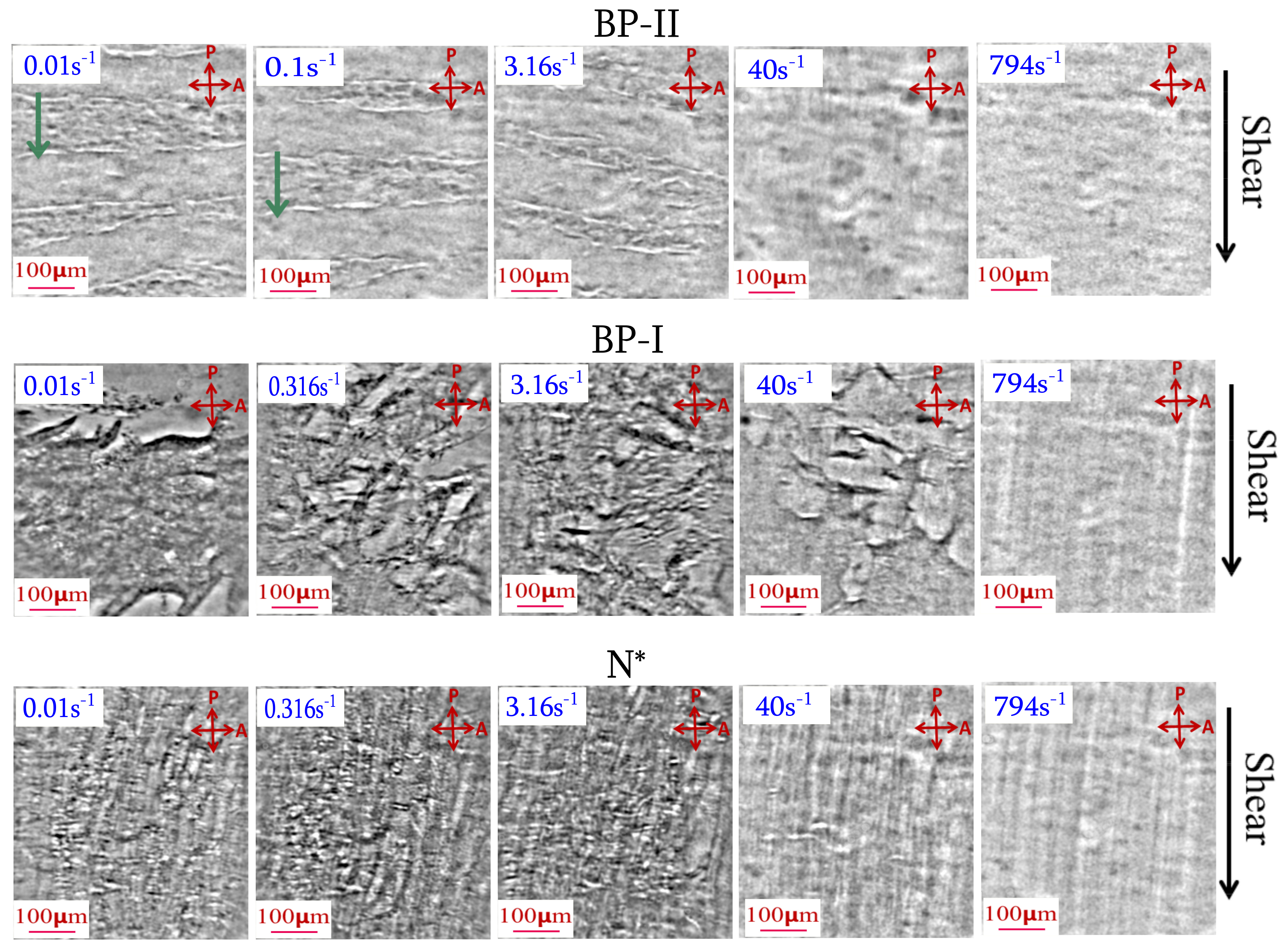Fluids 03 00026 g015