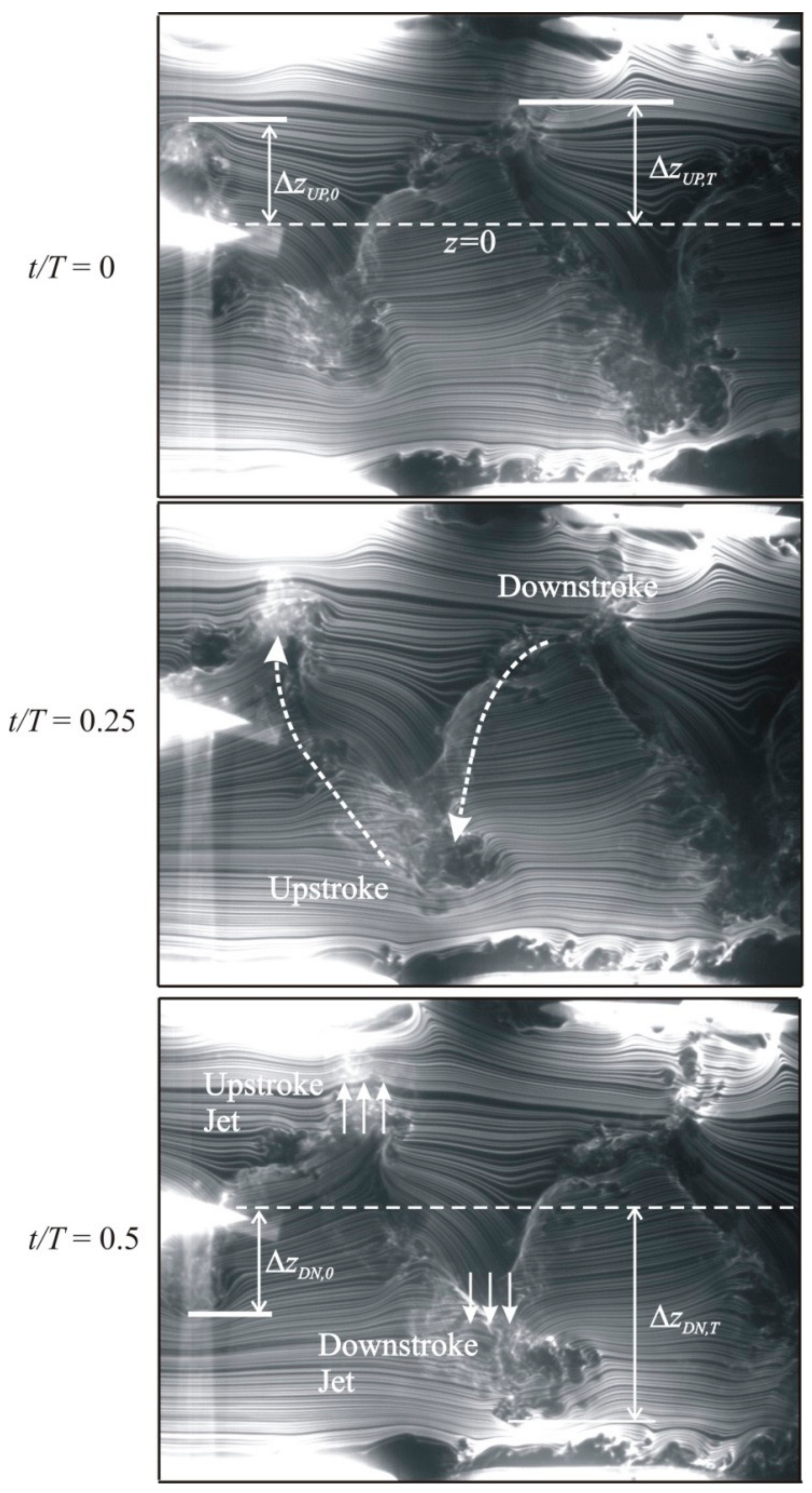Fluids 03 00029 g008