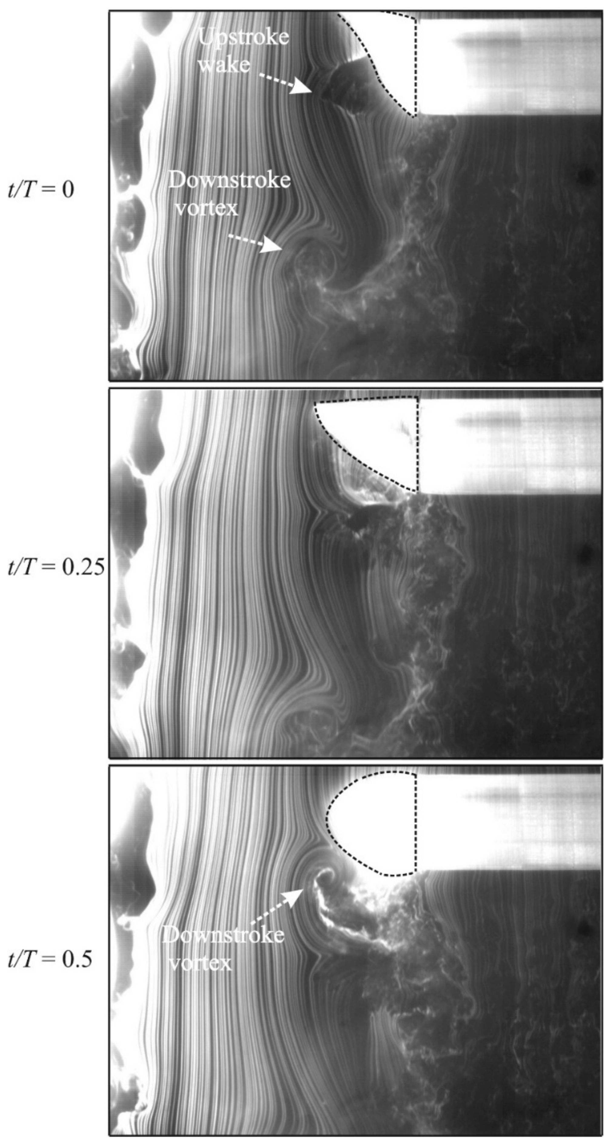 Fluids 03 00029 g009