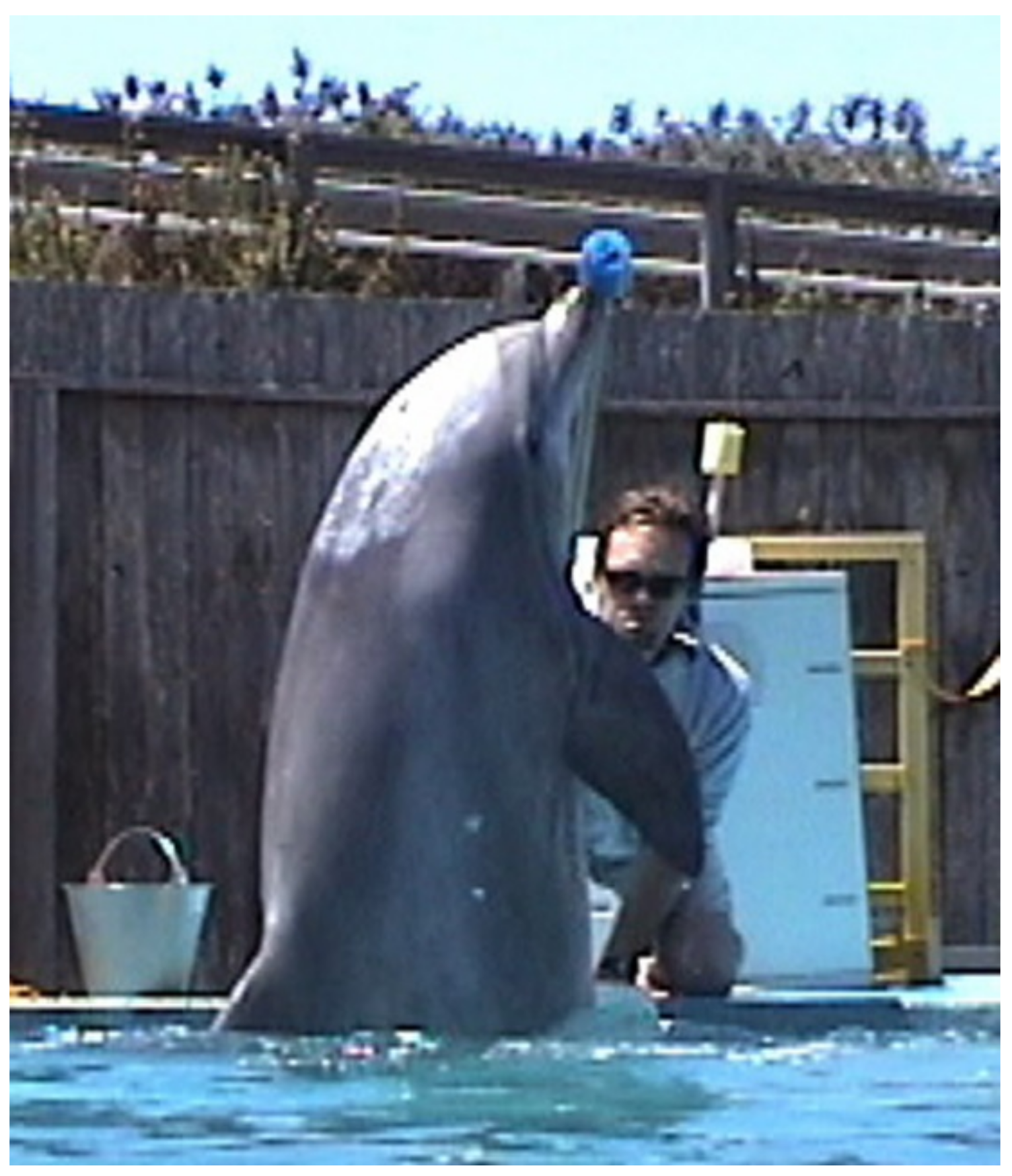 Fluids 03 00033 g001