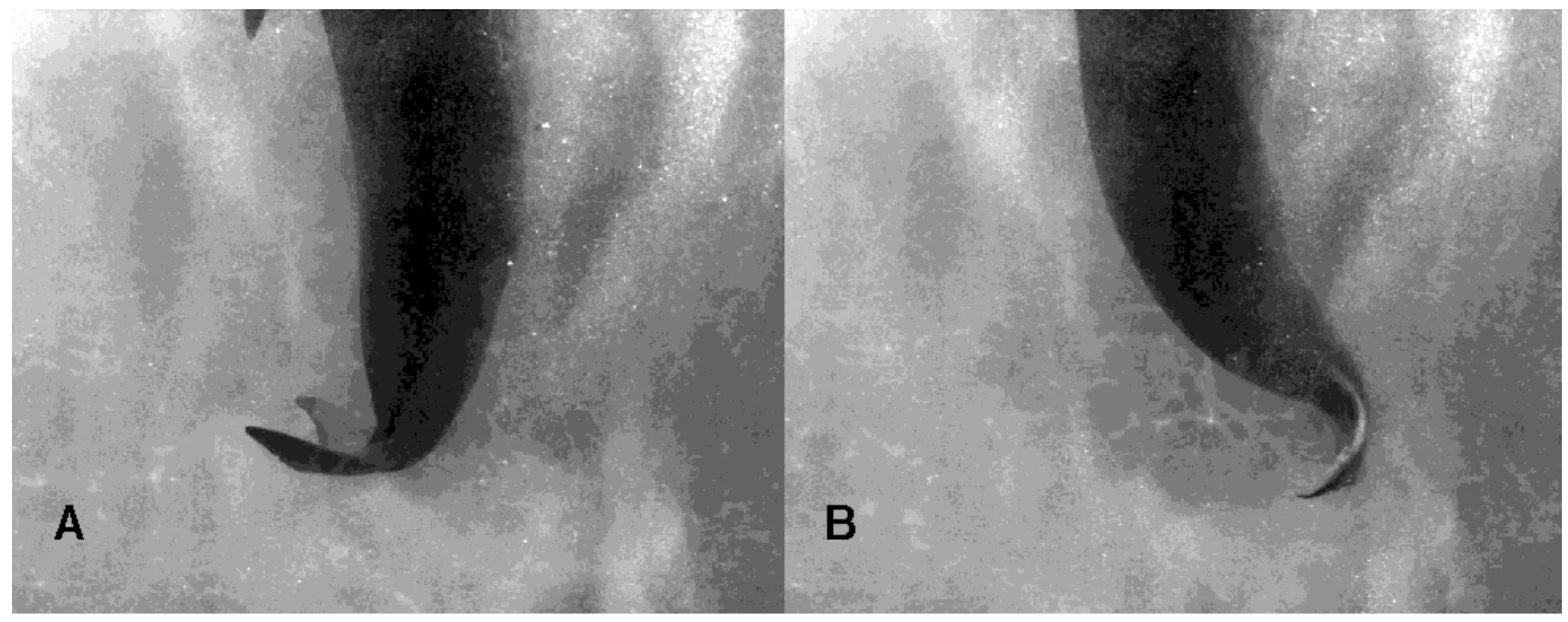 Fluids 03 00033 g002