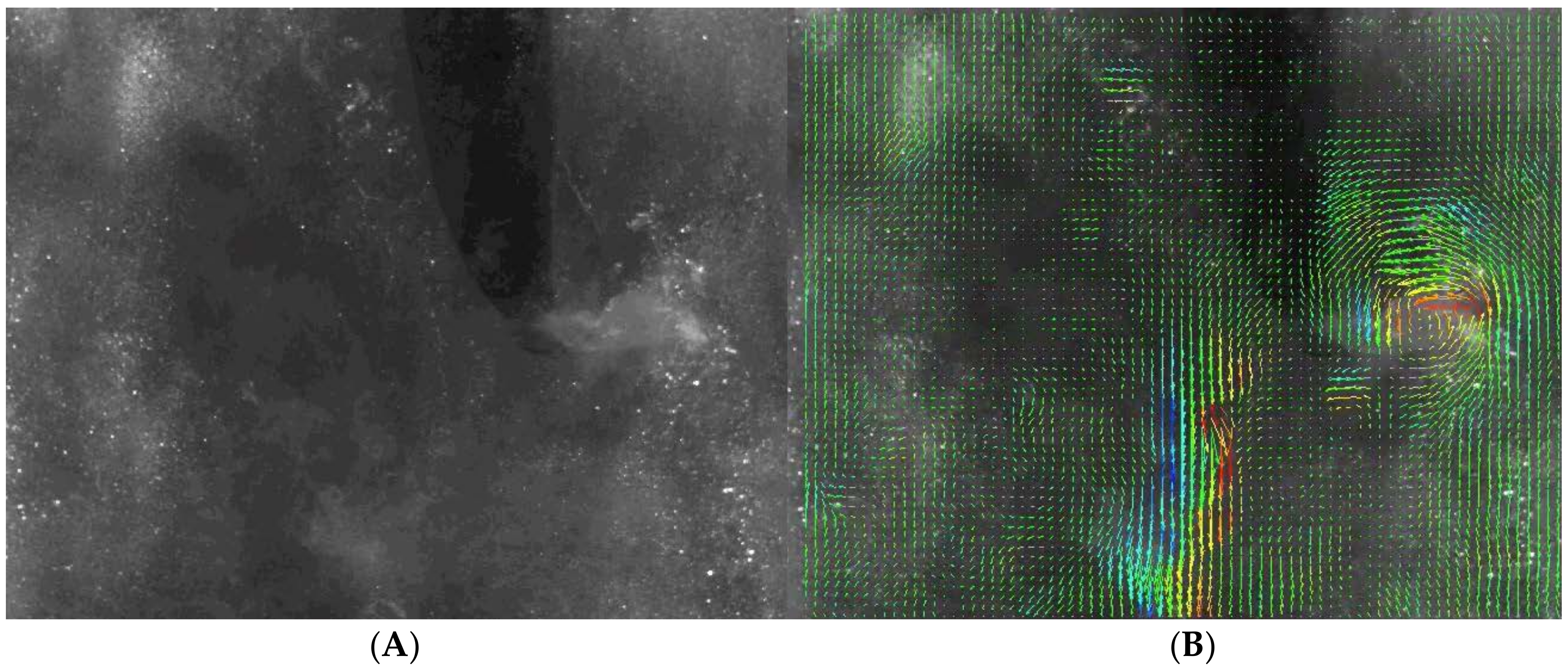 Fluids 03 00033 g003