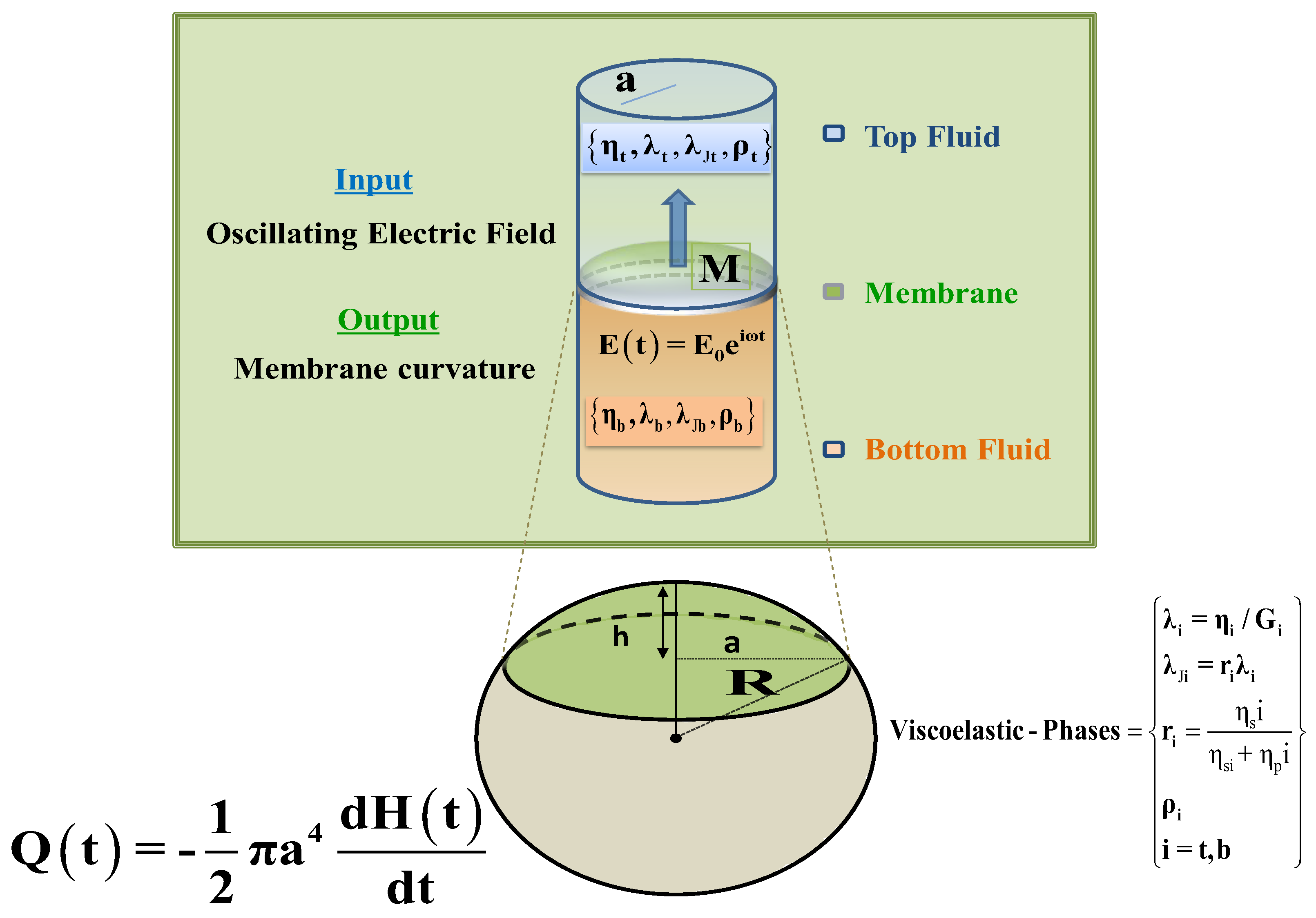 Fluids 03 00035 g002