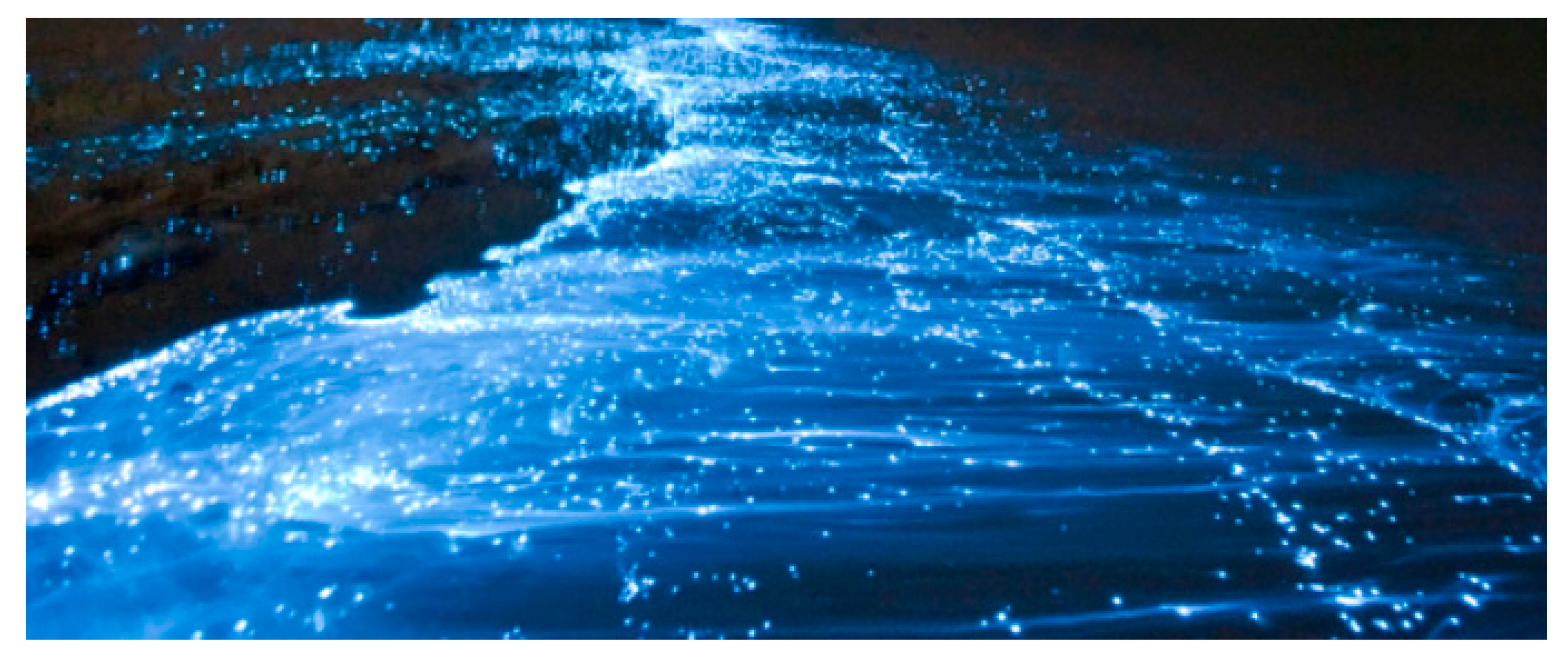 Fluids 03 00043 g001