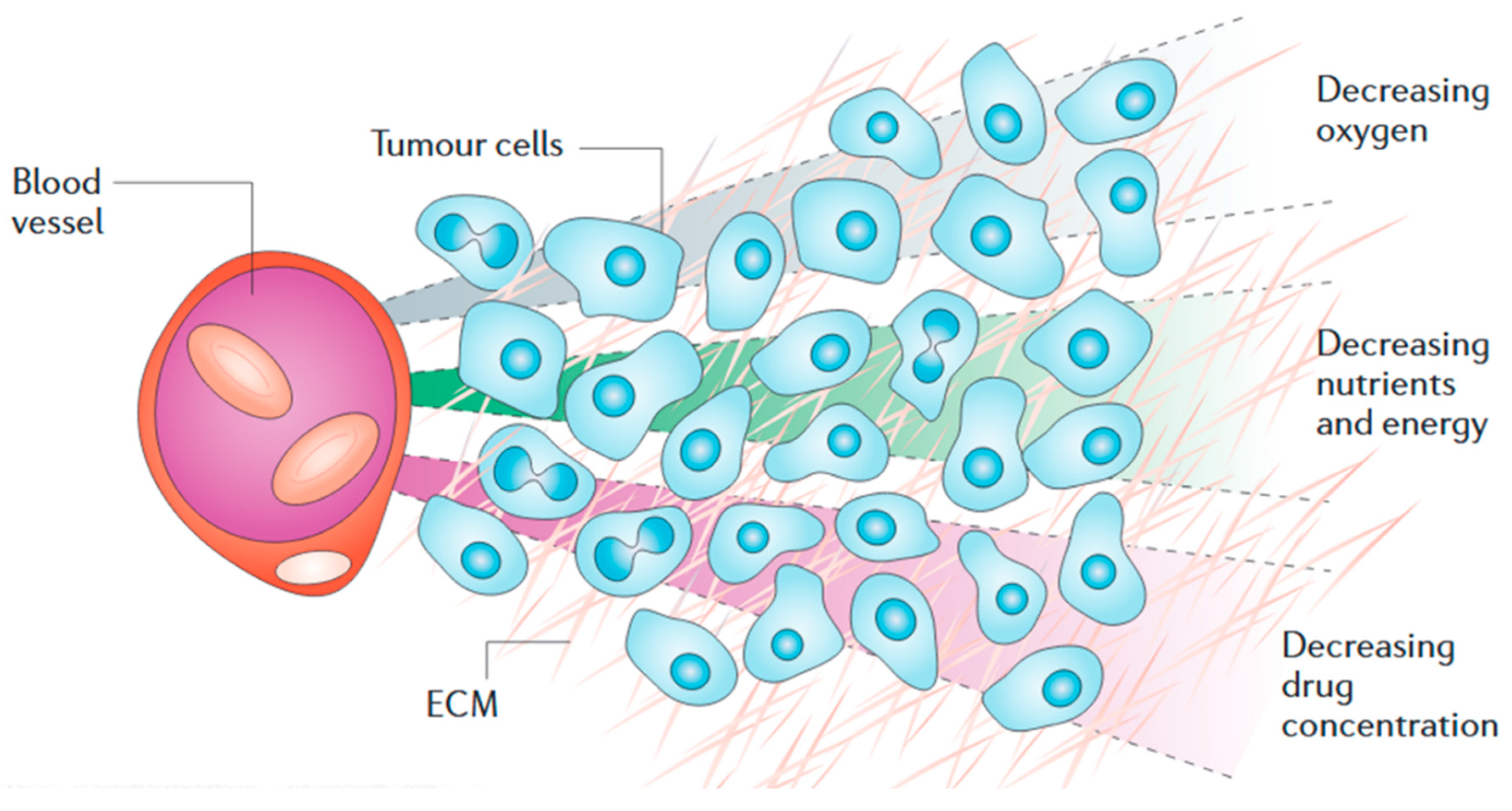 Fluids 03 00074 g001
