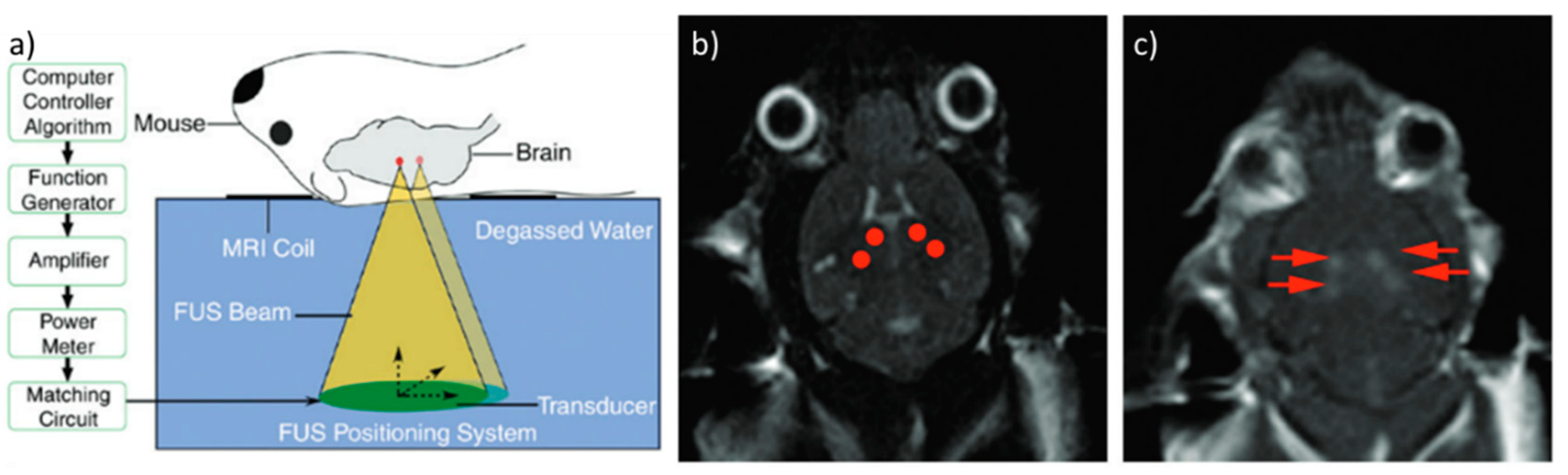 Fluids 03 00074 g003