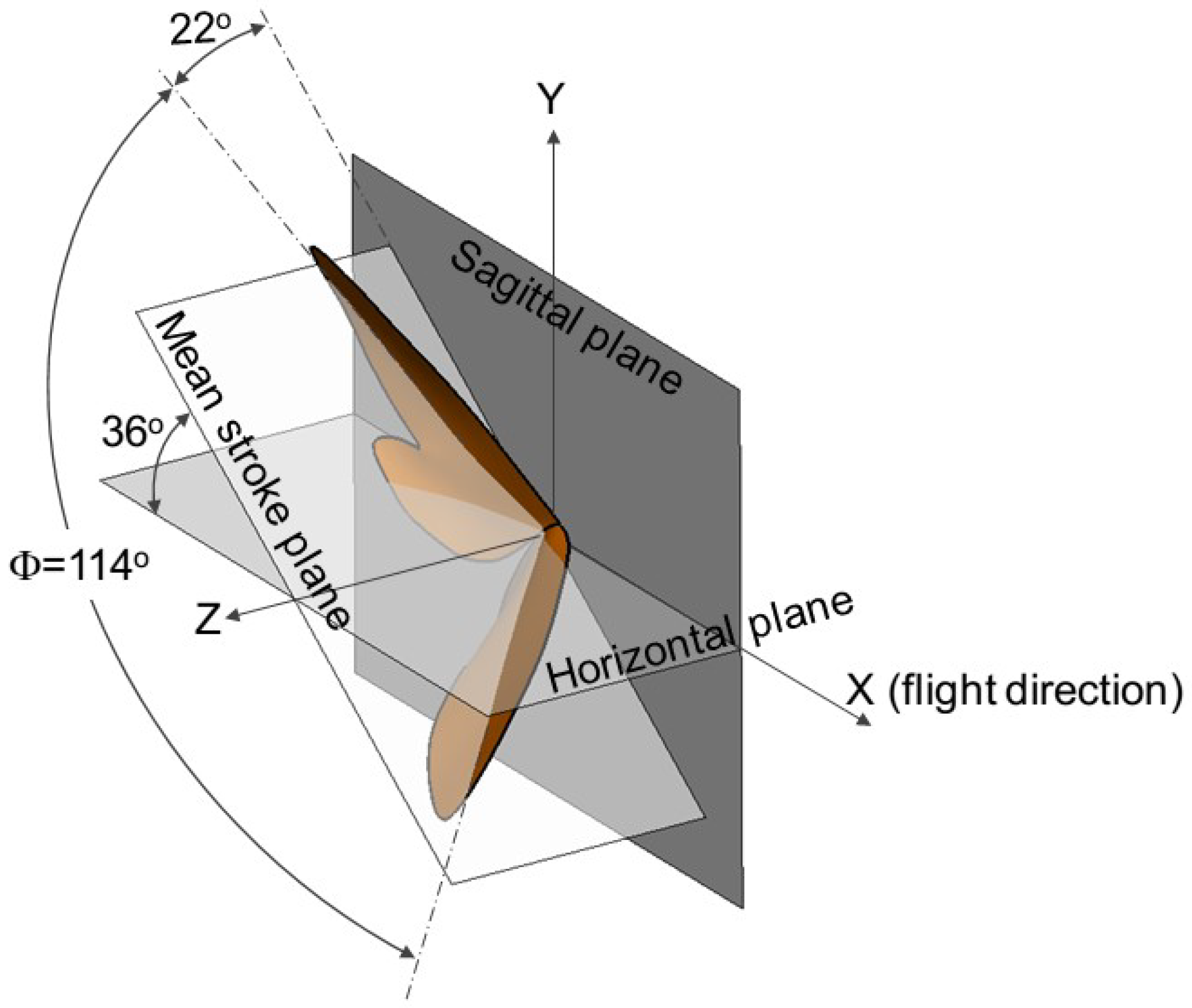 Fluids 03 00087 g001