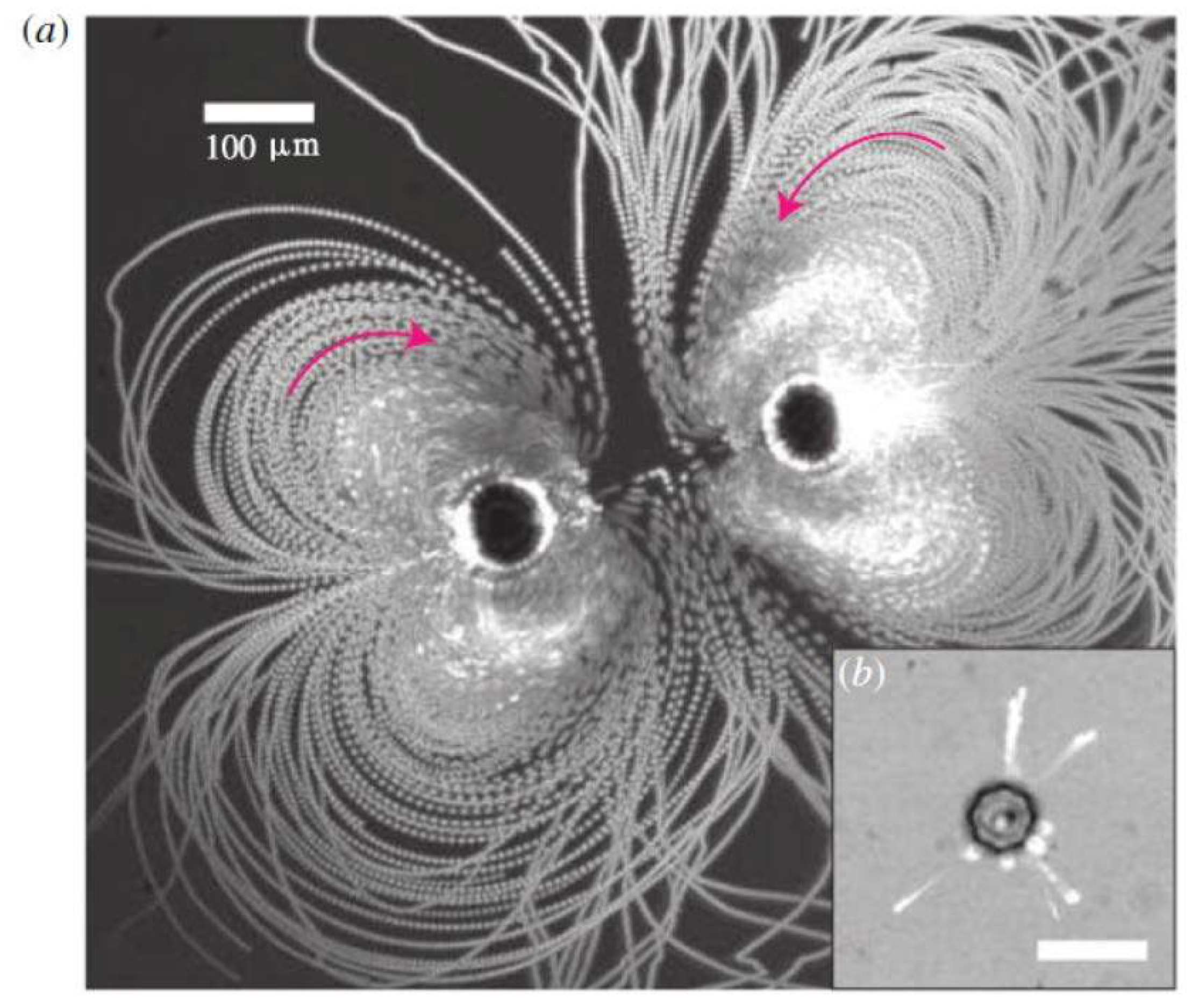 Fluids 03 00093 g003