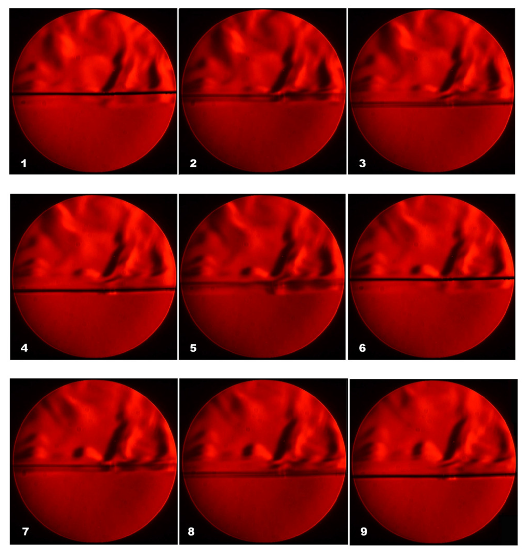 Fluids 03 00100 g007