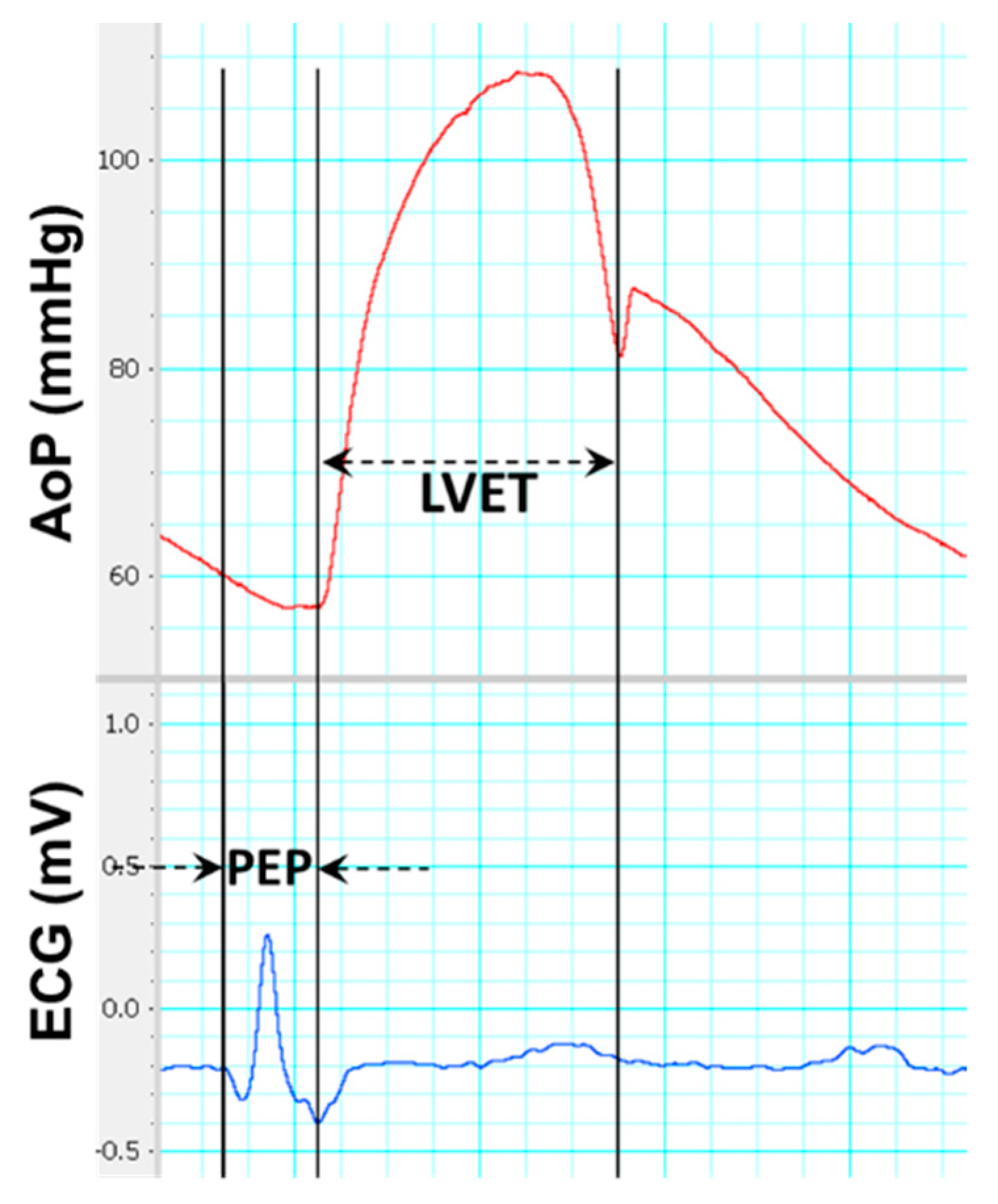 Fluids 04 00016 g003