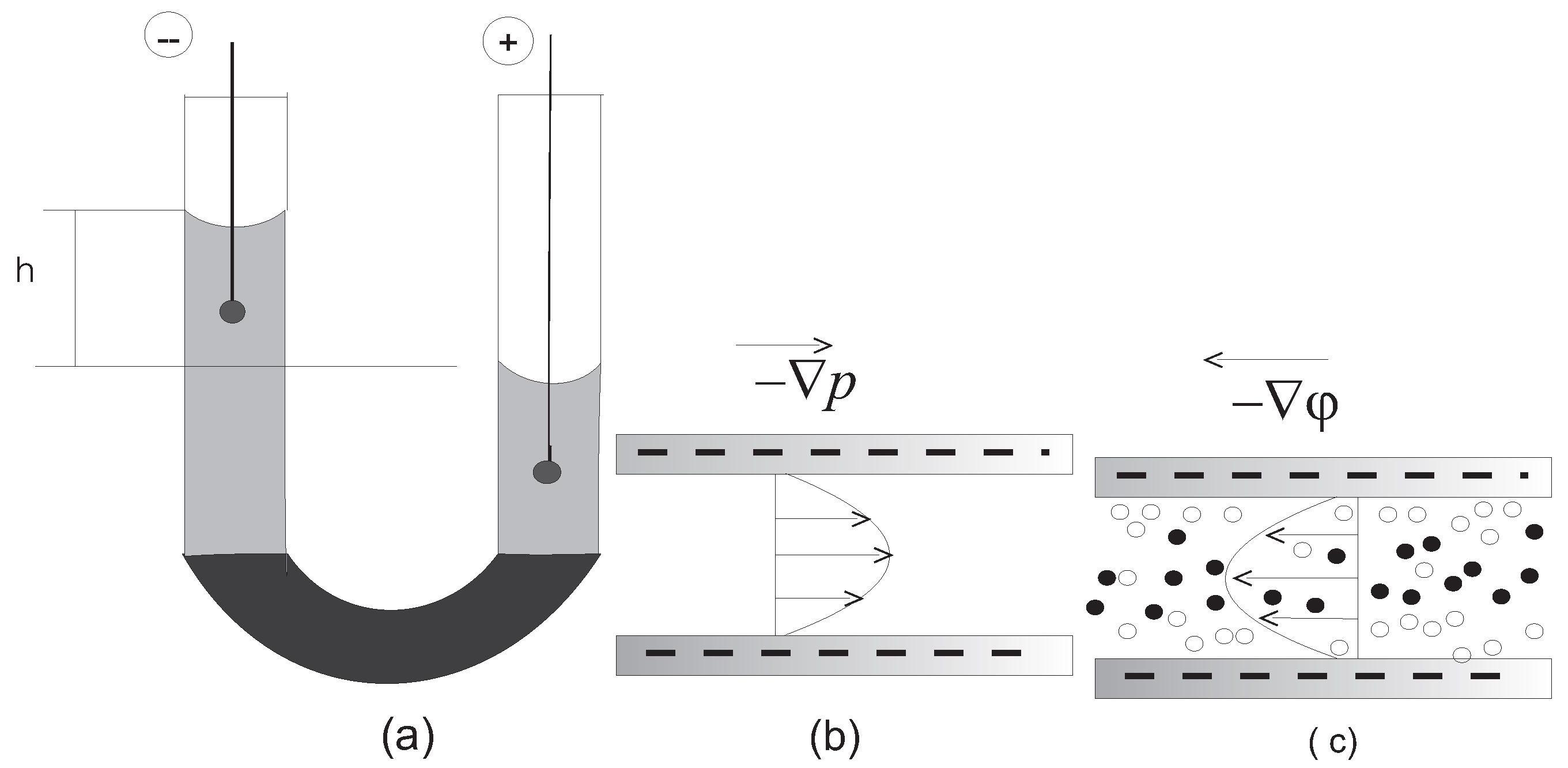 Fluids 04 00032 g001