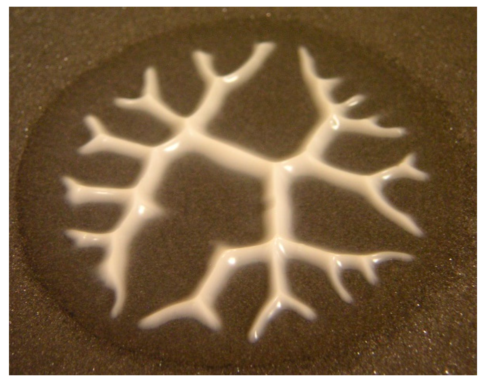 Fluids 04 00053 g003