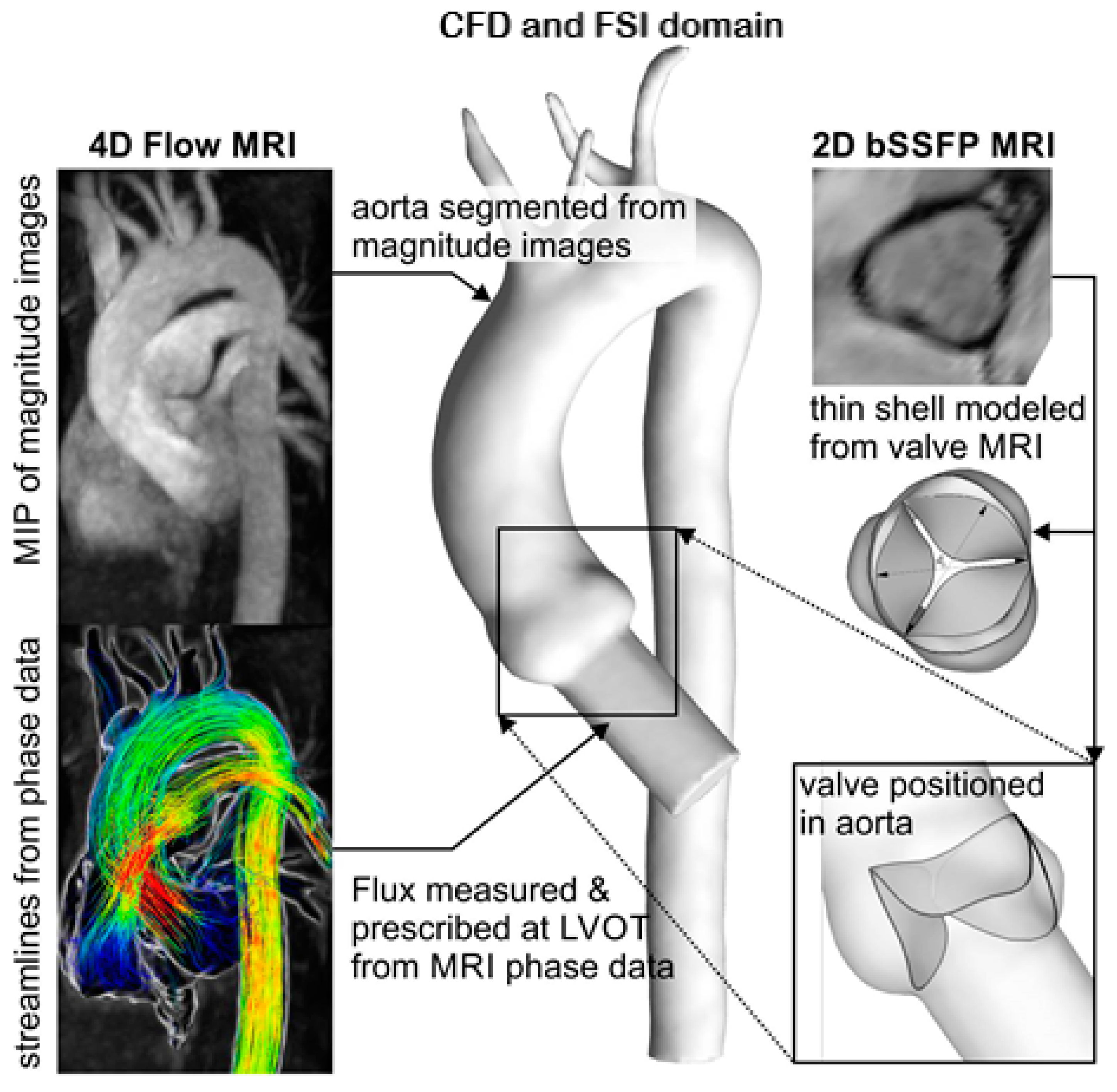 Fluids 04 00119 g001