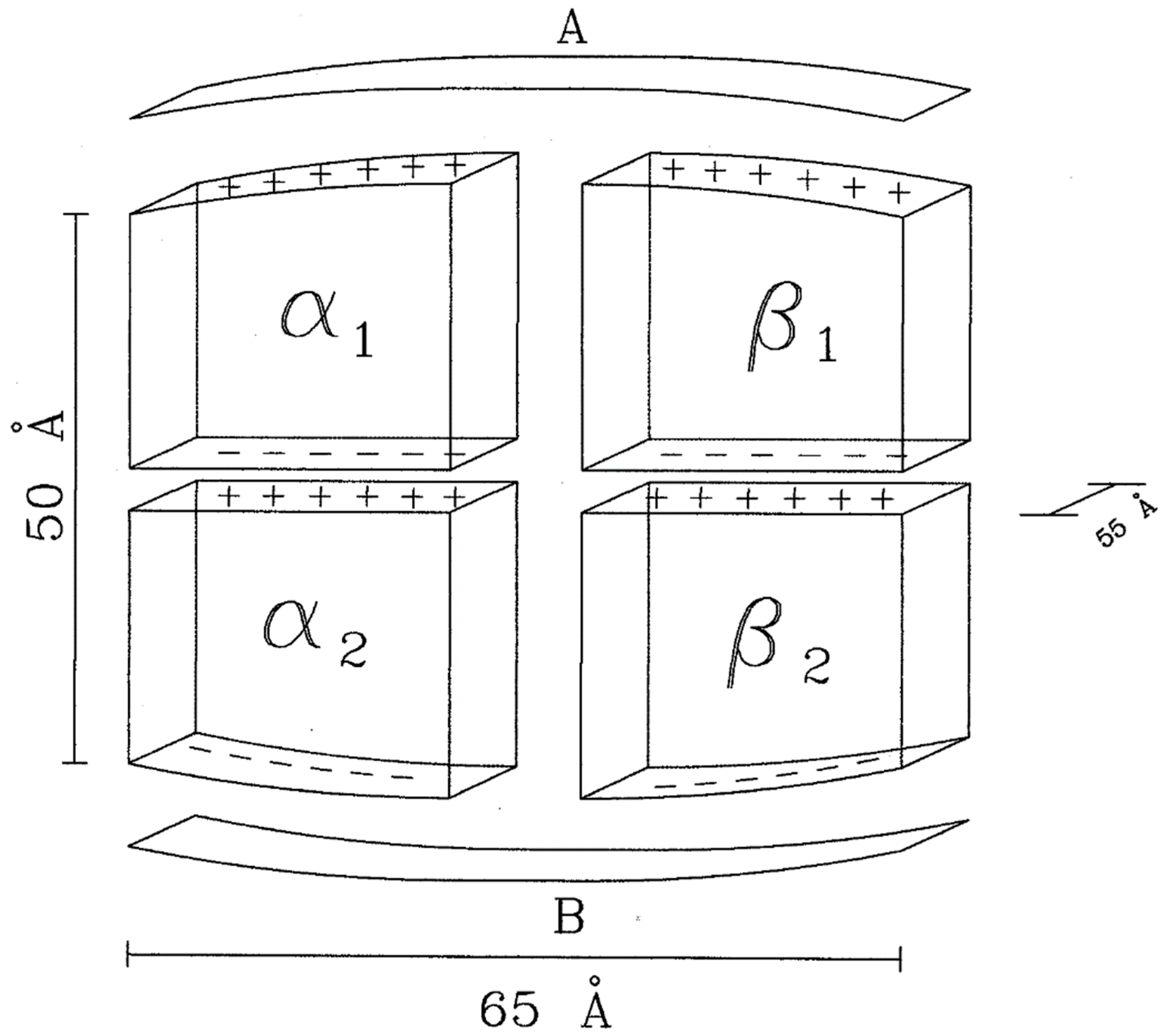 Fluids 04 00135 g001