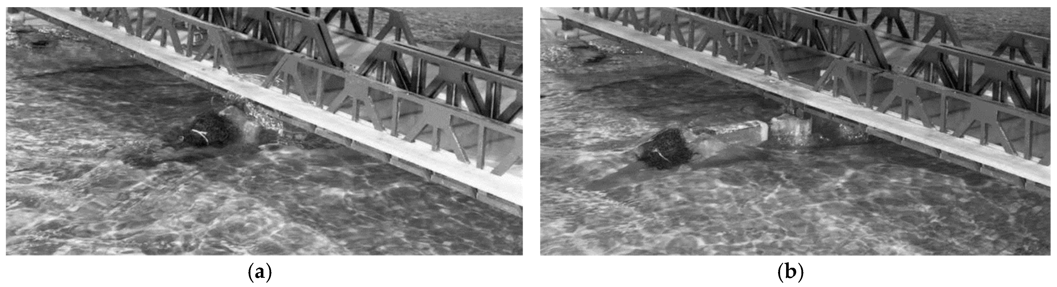 Fluids 04 00140 g002