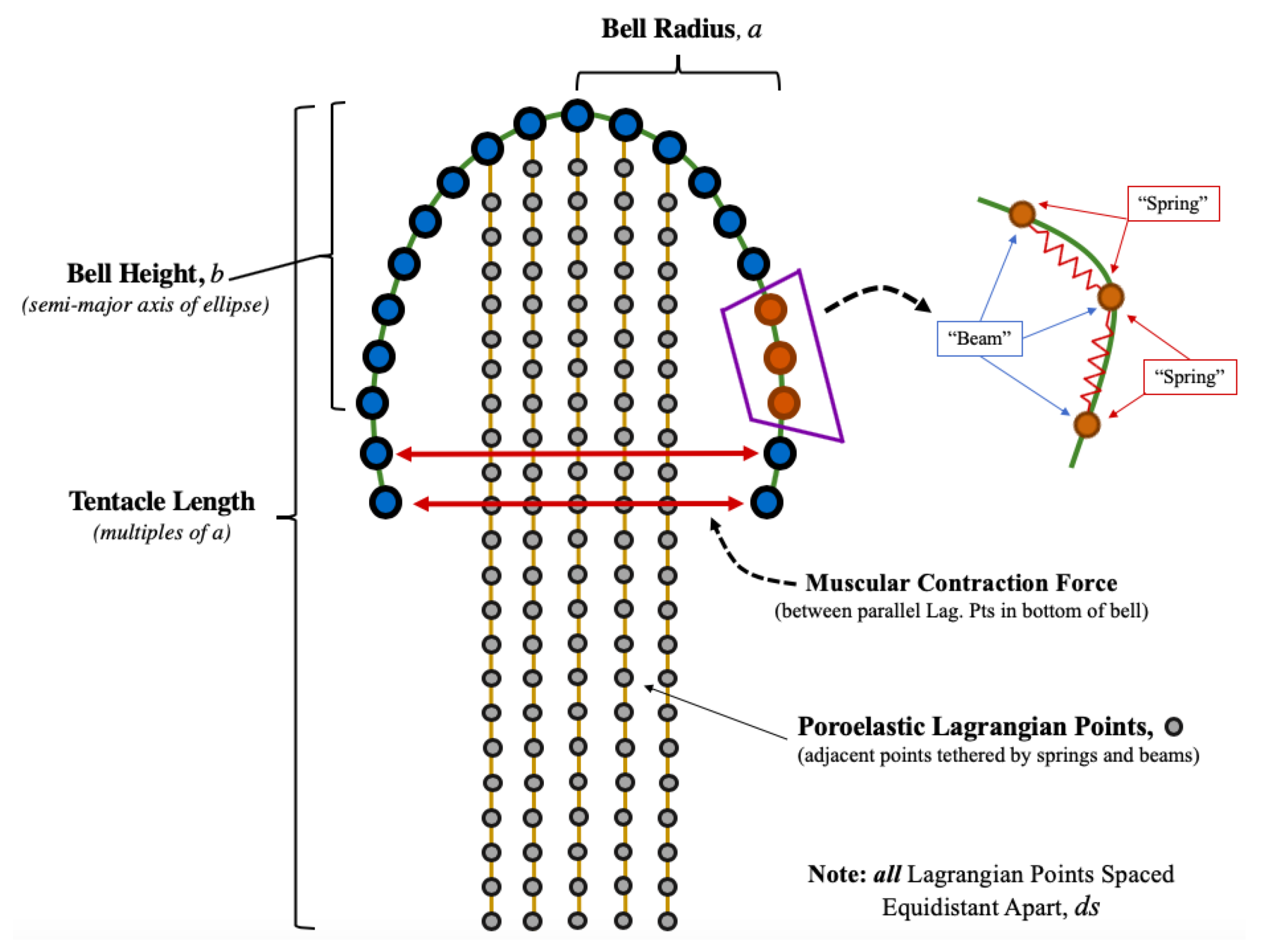 Fluids 04 00169 g003