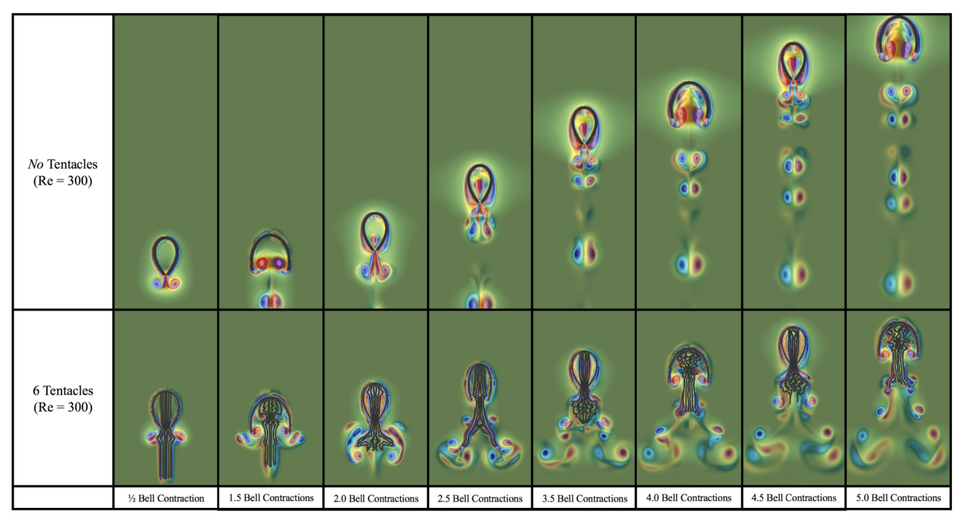 Fluids 04 00169 g007