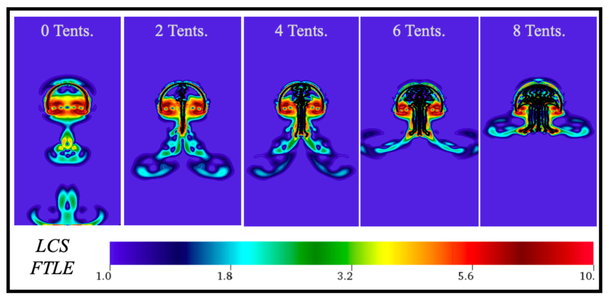 Fluids 04 00169 g013