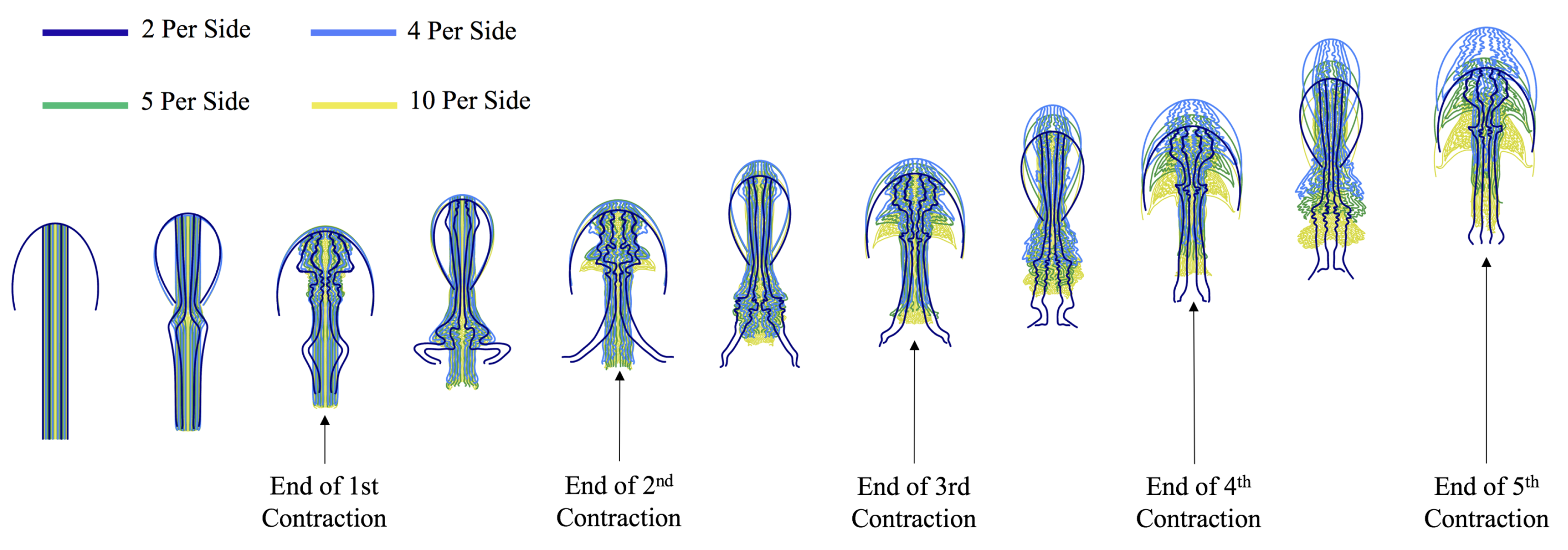 Fluids 04 00169 g024