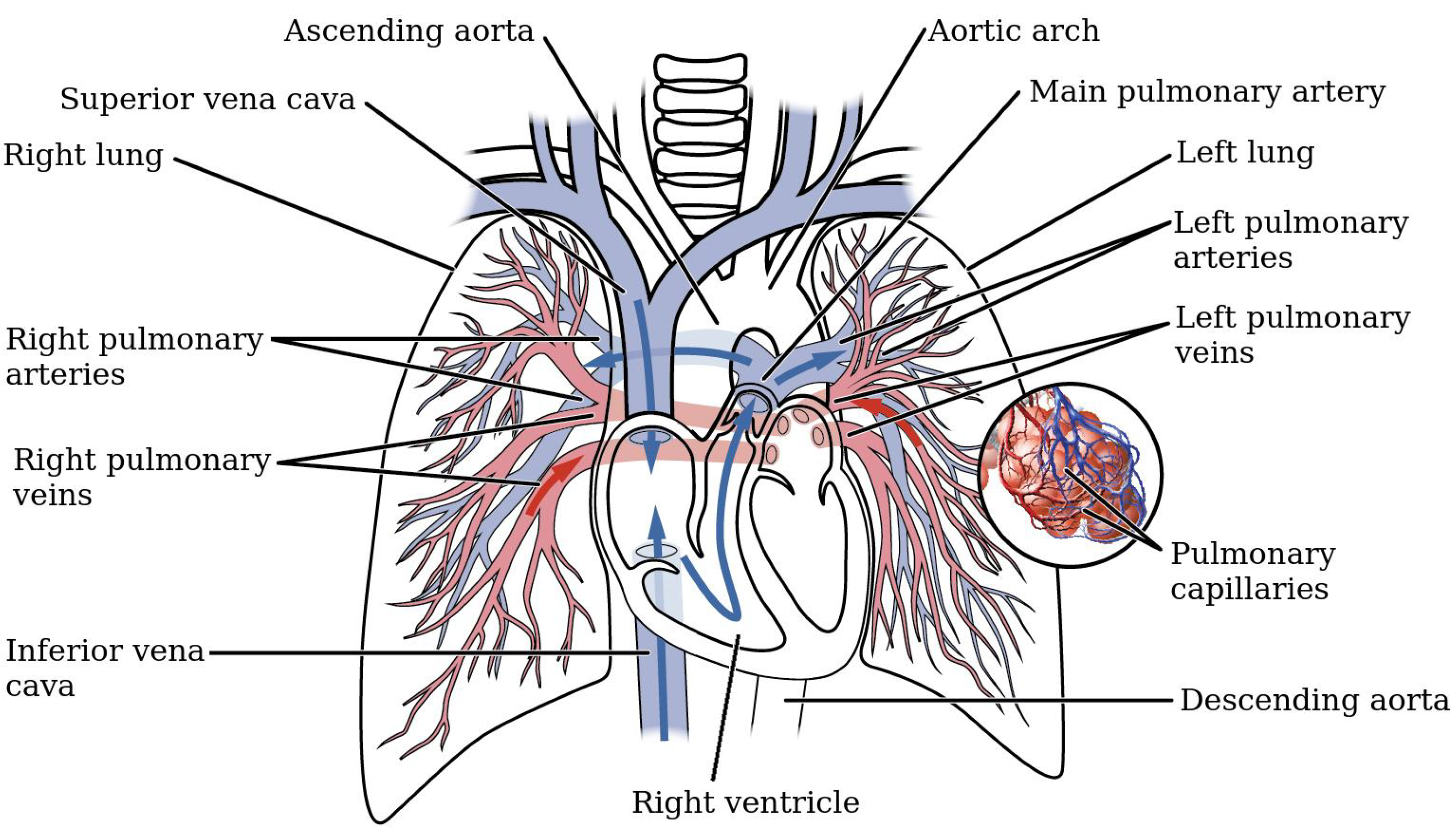 Fluids 04 00190 g001