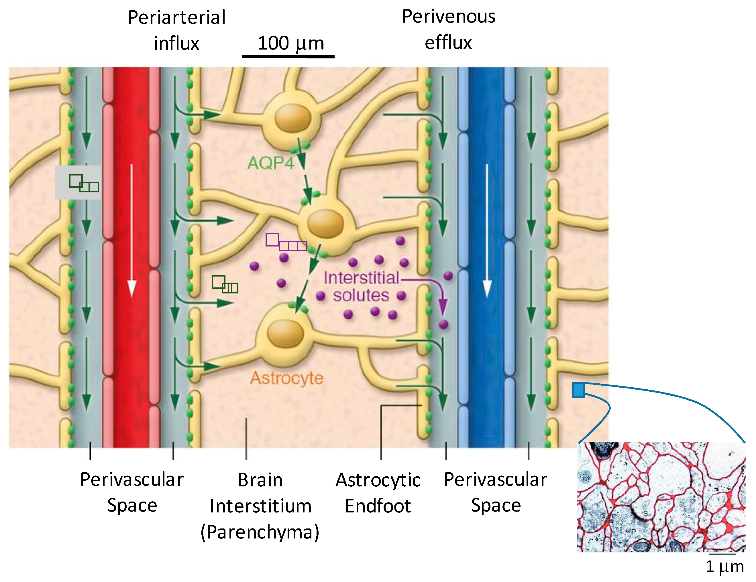 Fluids 04 00196 g002
