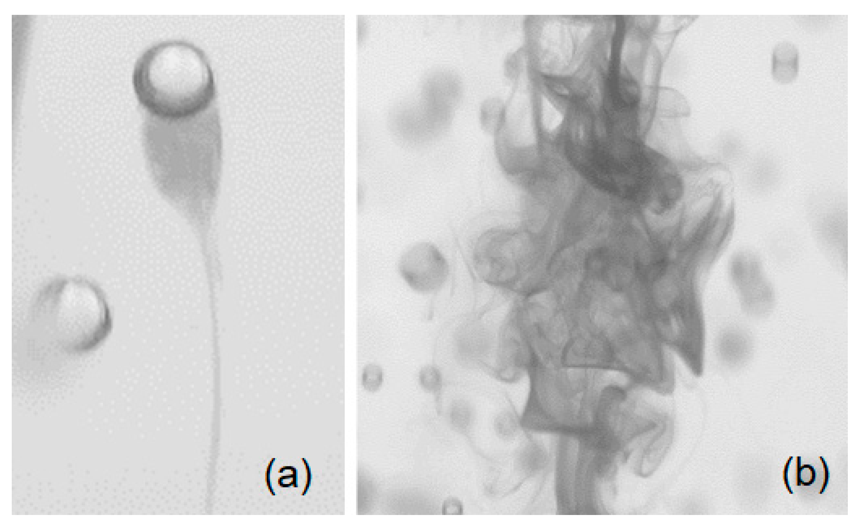 Fluids 05 00006 g001