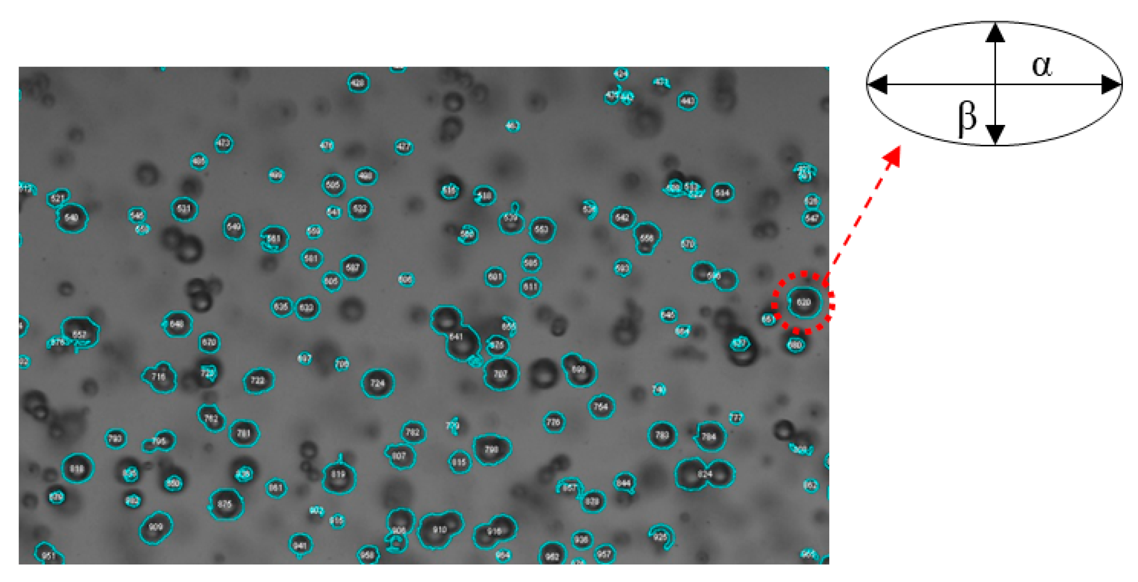 Fluids 05 00006 g005
