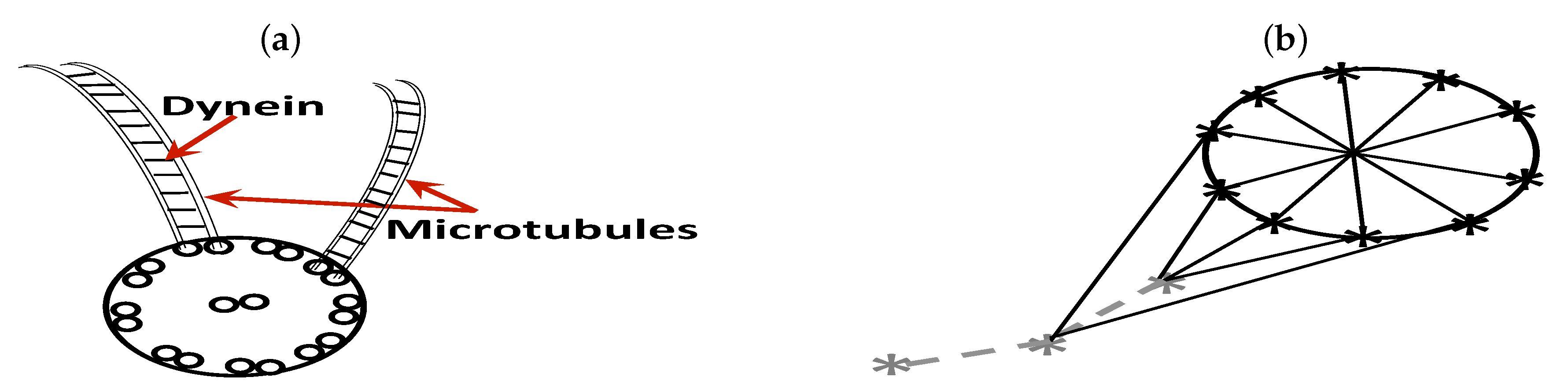 Fluids 05 00014 g001