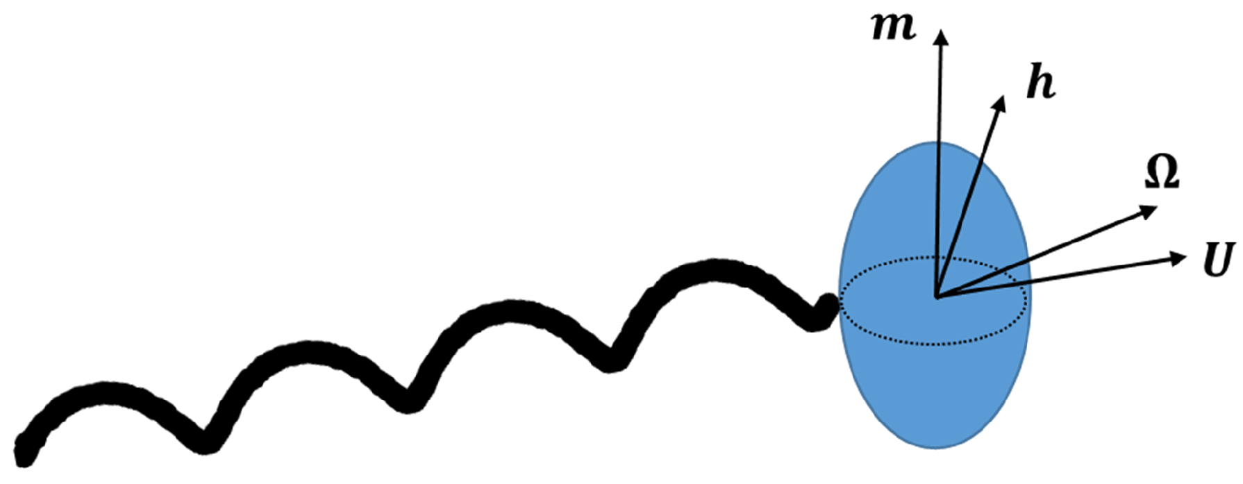 Fluids 05 00019 g001