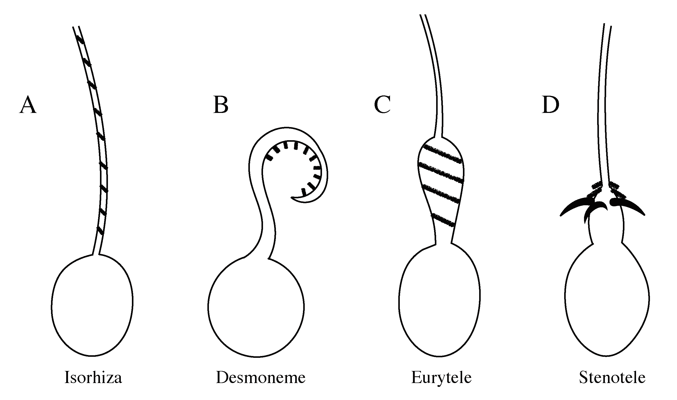 Fluids 05 00020 g001 Fluids 05 00020 g001