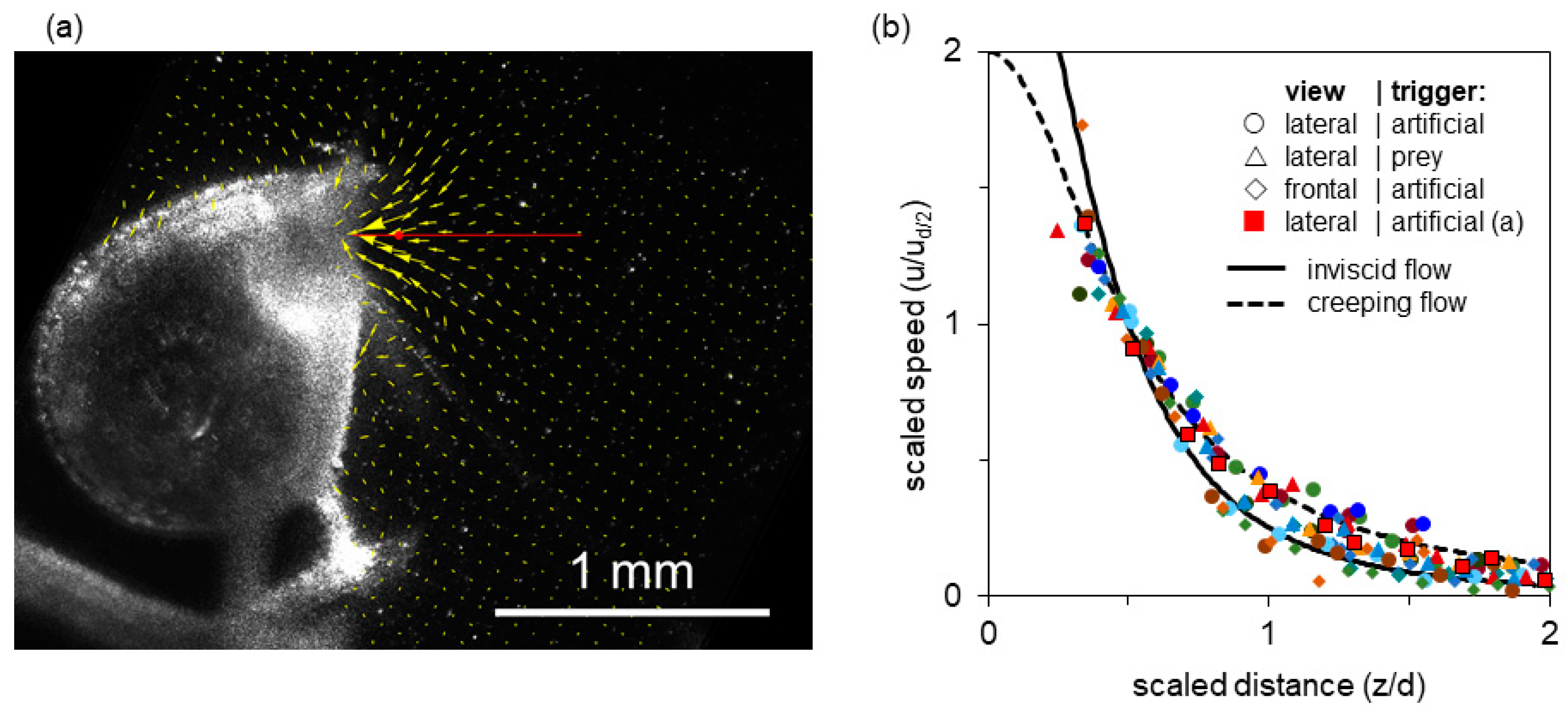 Fluids 05 00033 g003