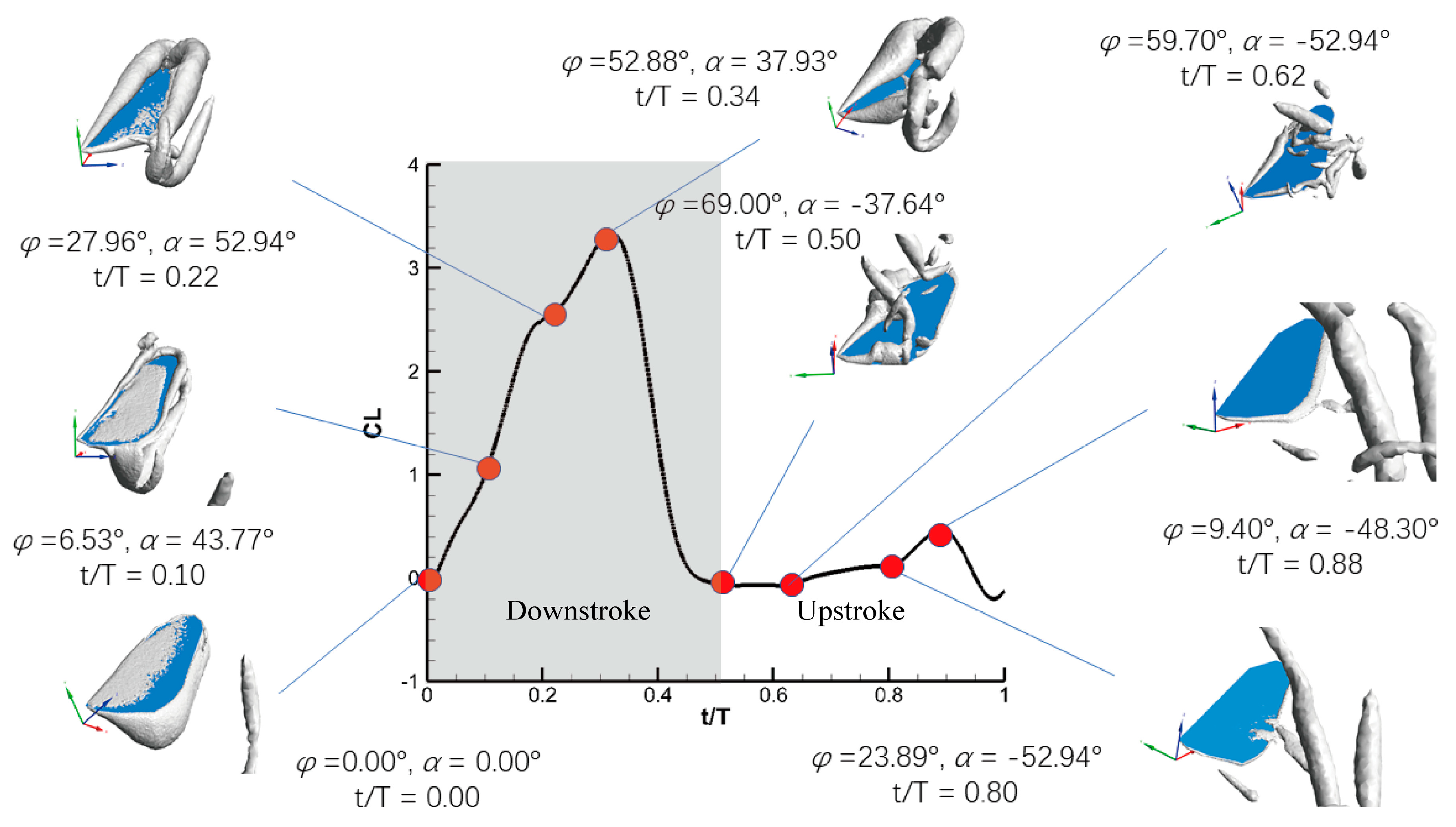 Fluids 05 00059 g012