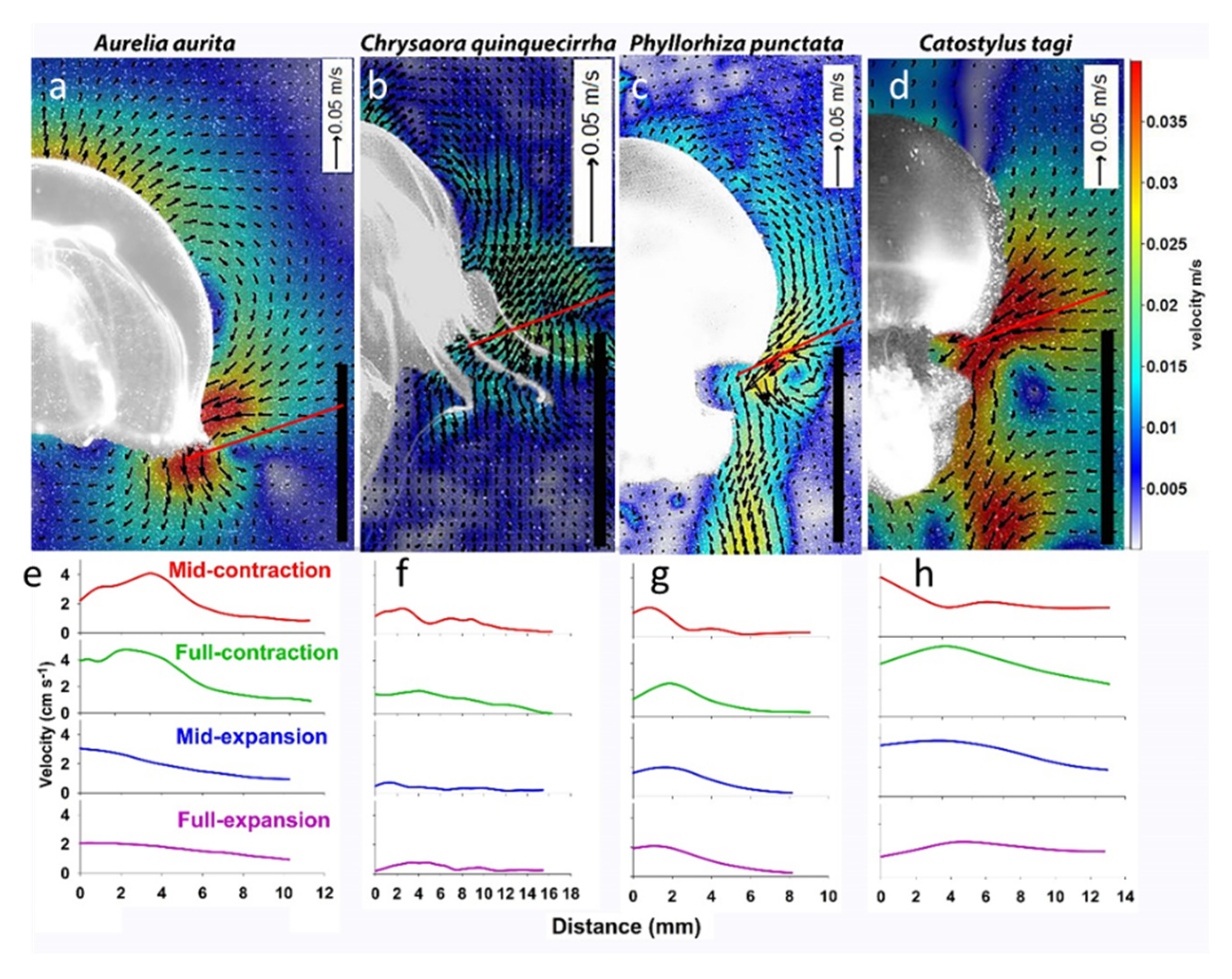 Fluids 05 00060 g001