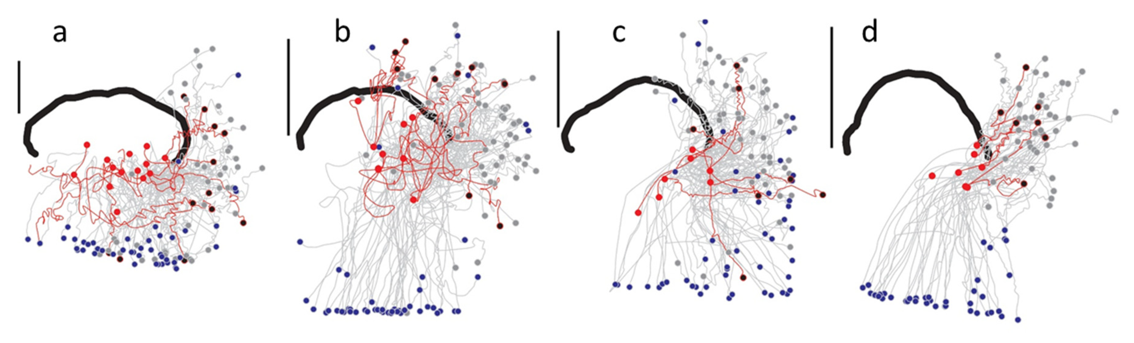 Fluids 05 00060 g004