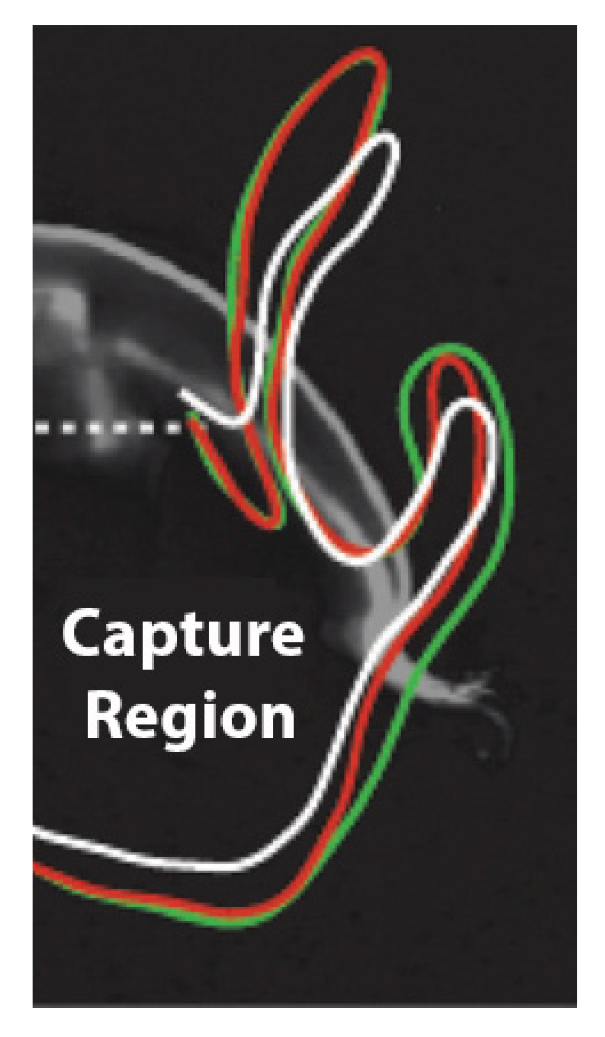 Fluids 05 00060 g007