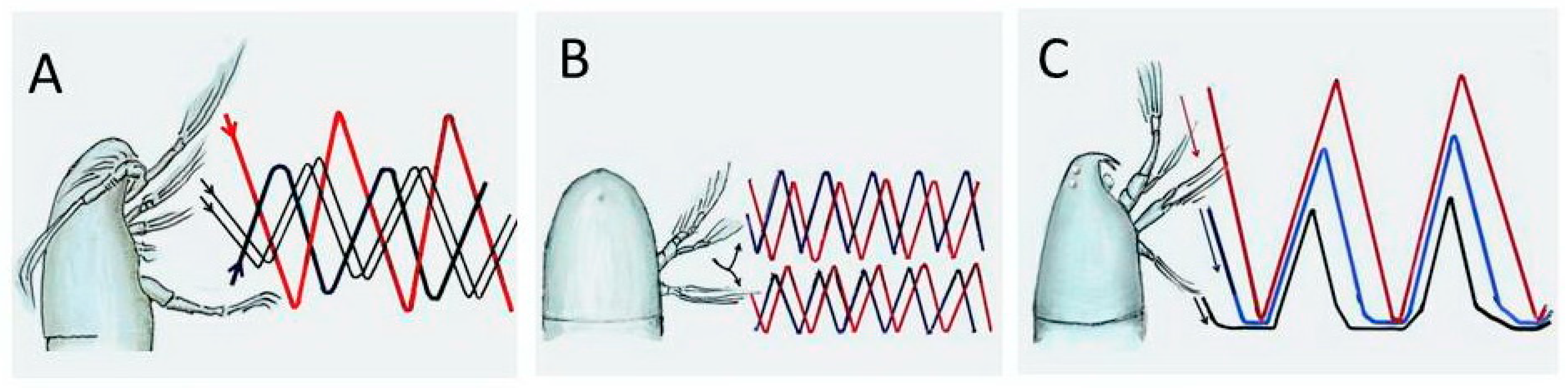 Fluids 05 00068 g001 Fluids 05 00068 g001