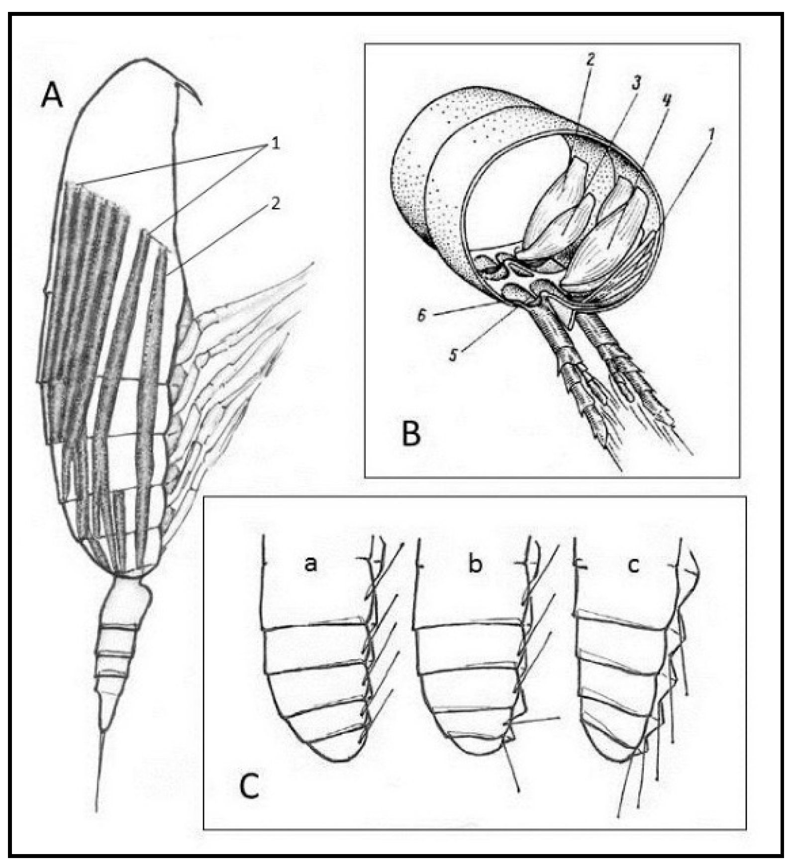 Fluids 05 00068 g003 Fluids 05 00068 g003