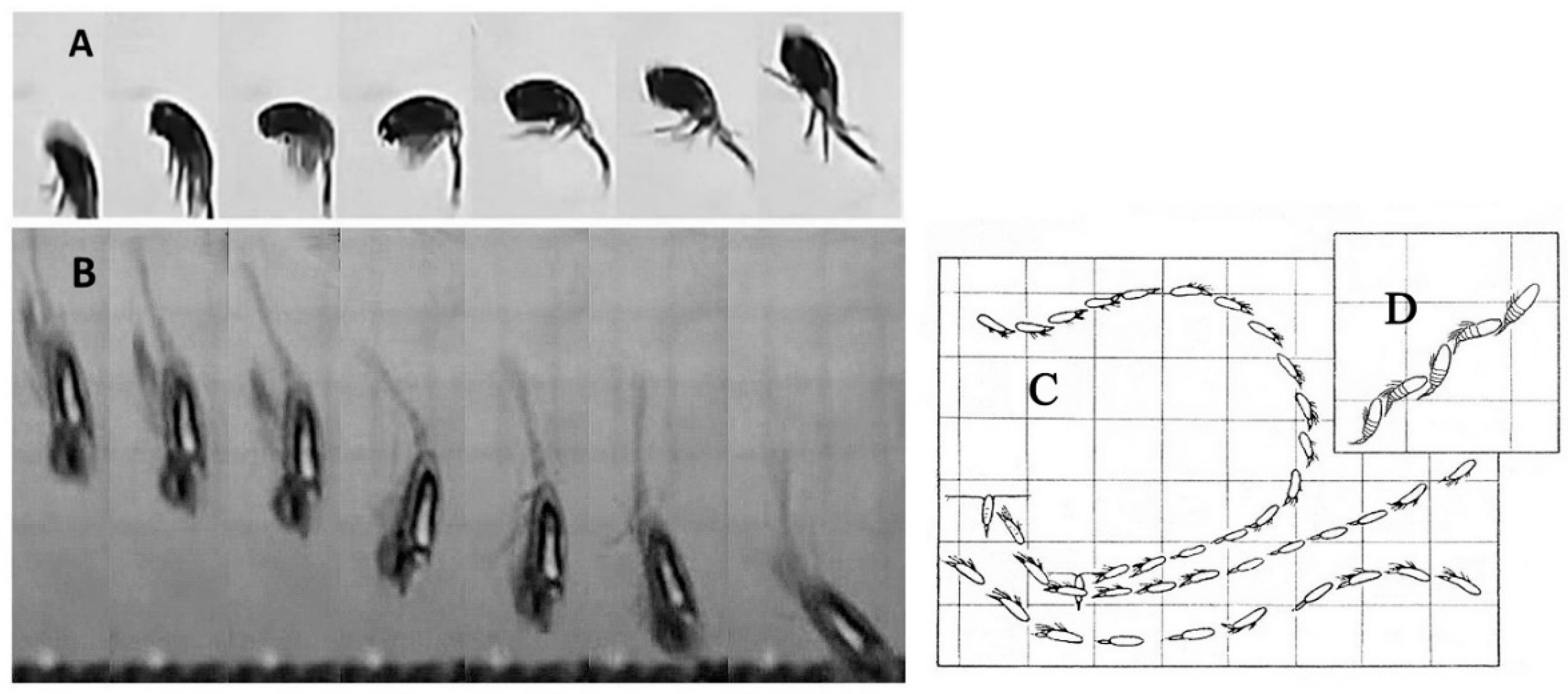 Fluids 05 00068 g005 Fluids 05 00068 g005