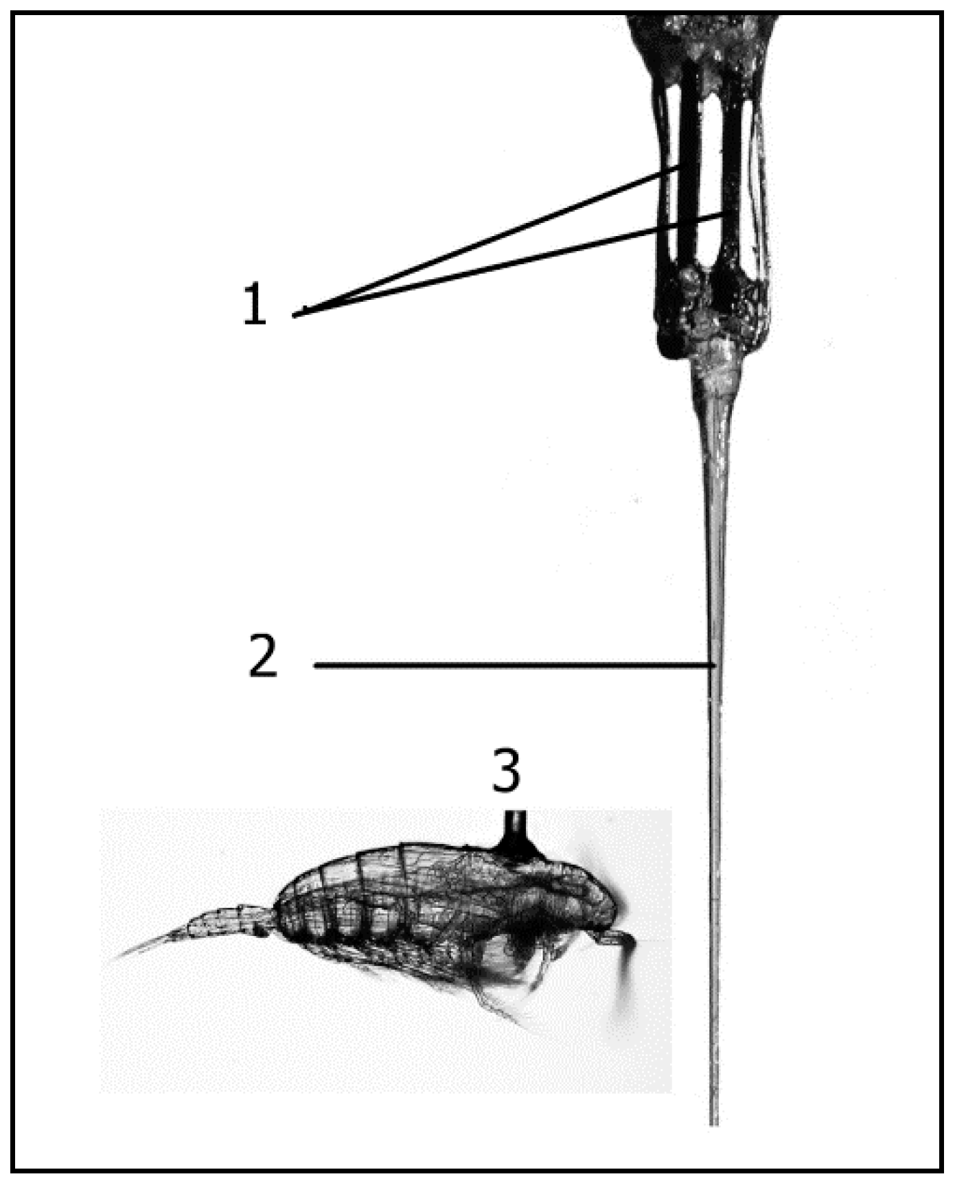 Fluids 05 00068 g010 Fluids 05 00068 g010