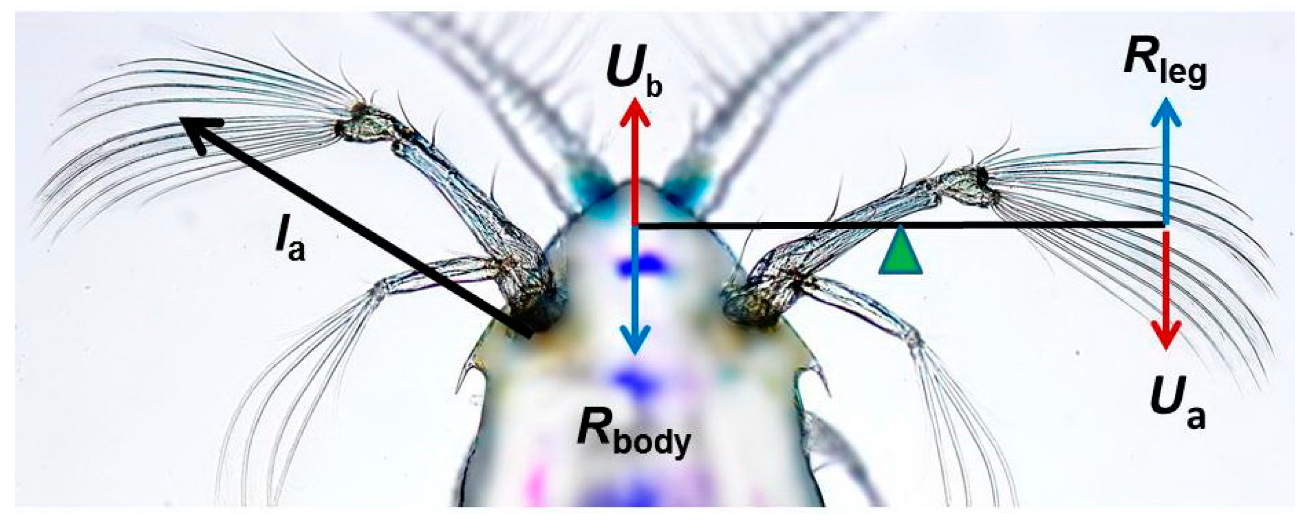 Fluids 05 00068 g013 Fluids 05 00068 g013