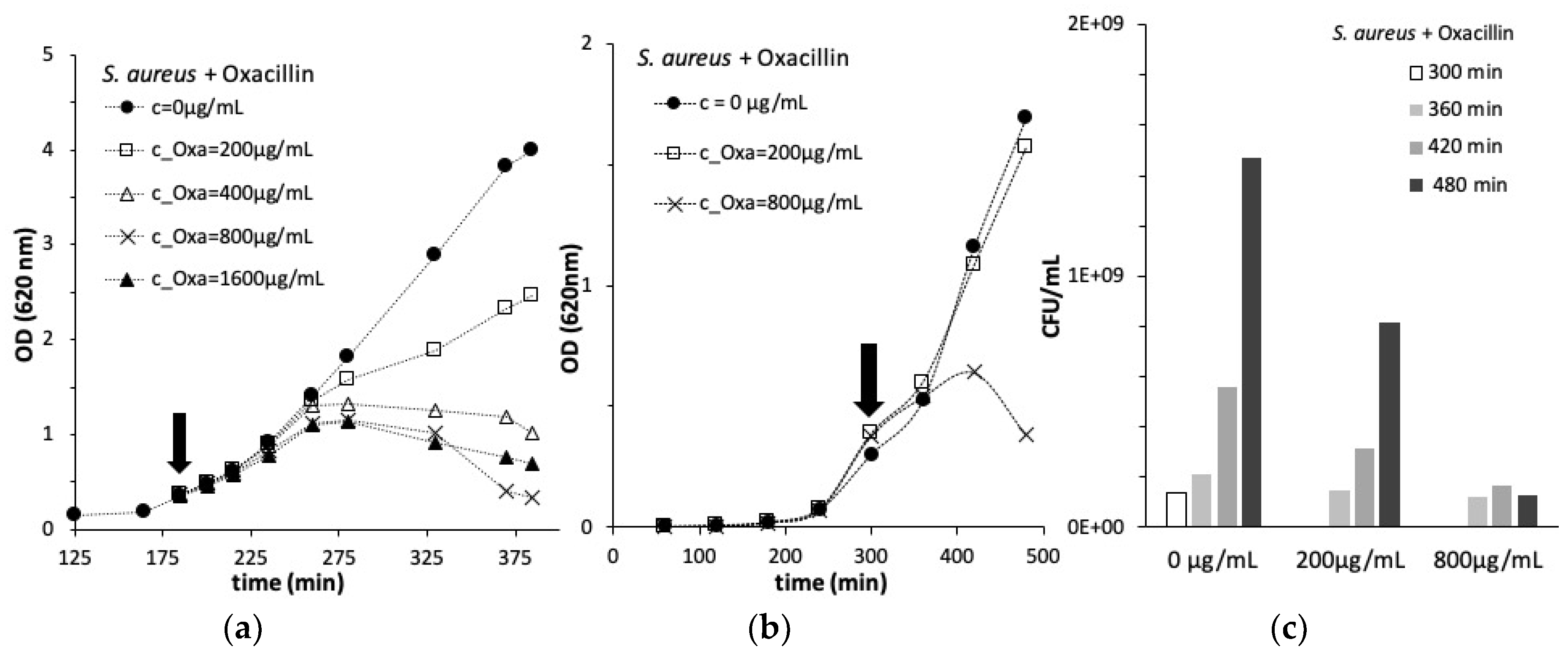 Fluids 05 00076 g001