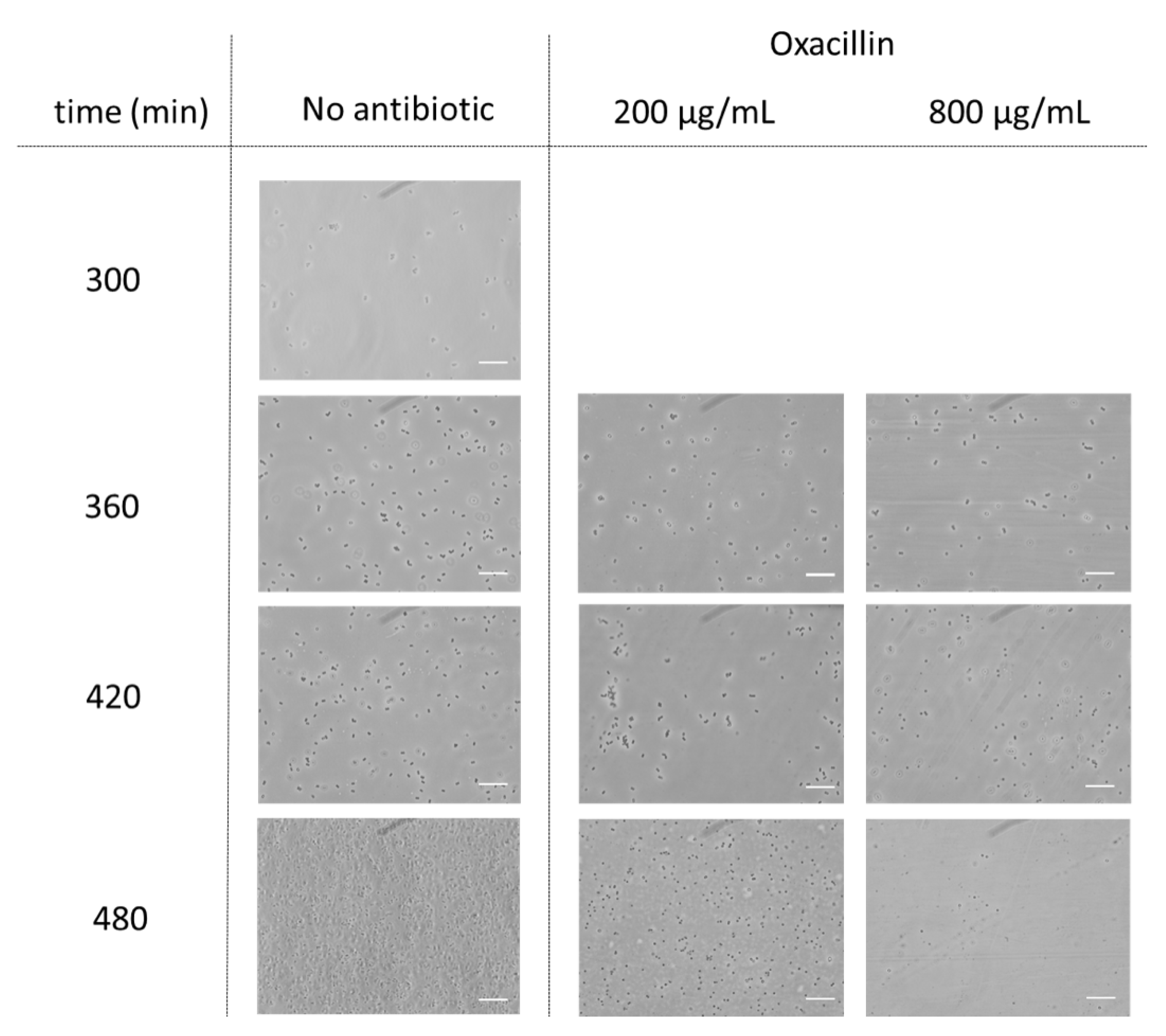 Fluids 05 00076 g003