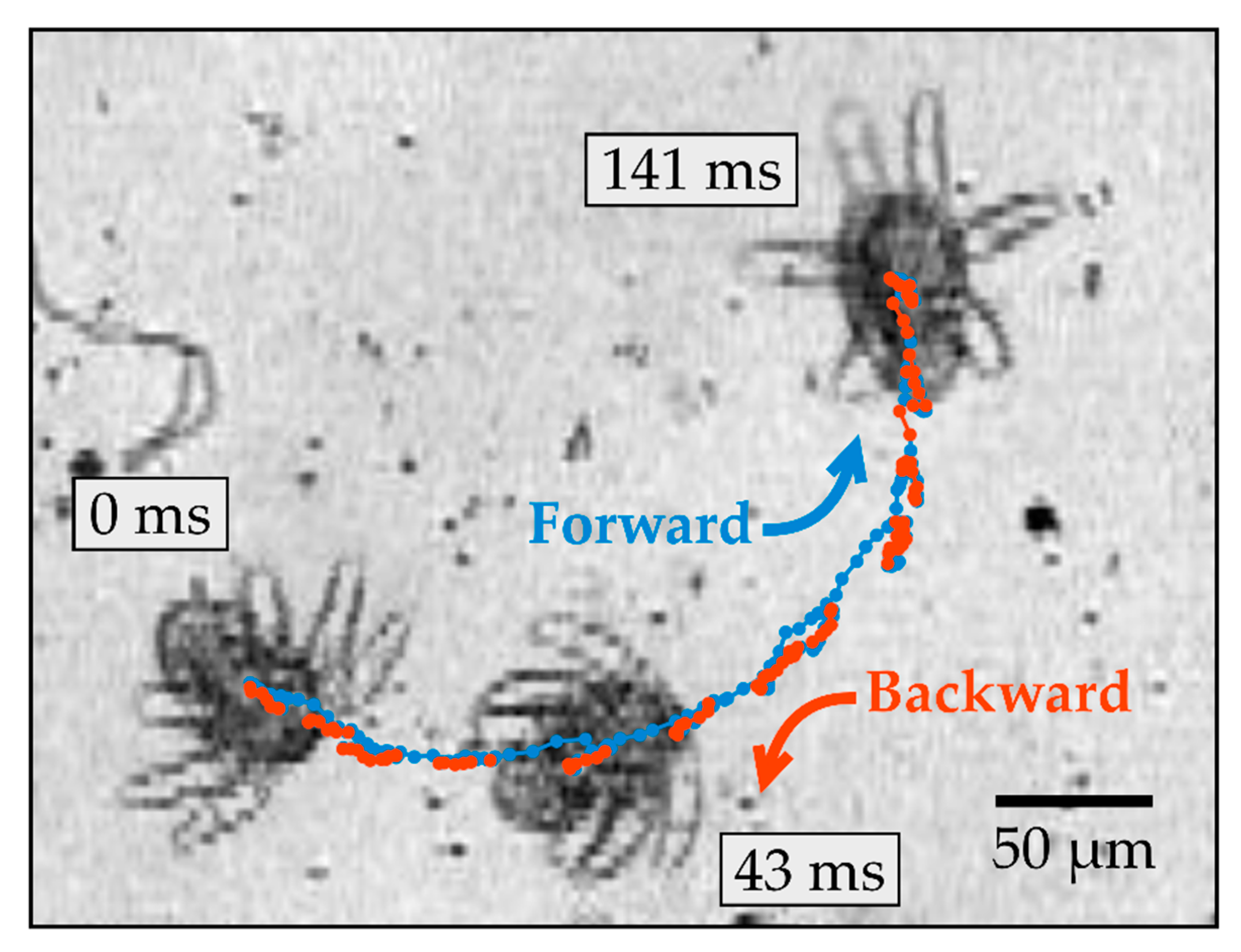 Fluids 05 00078 g002