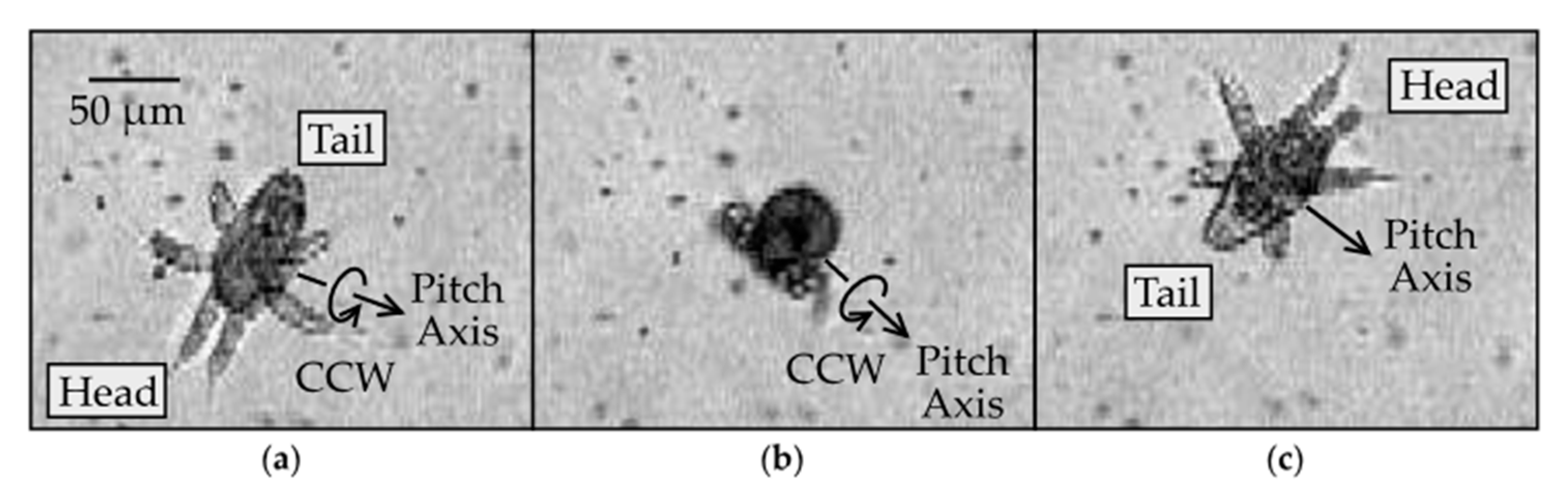 Fluids 05 00078 g006